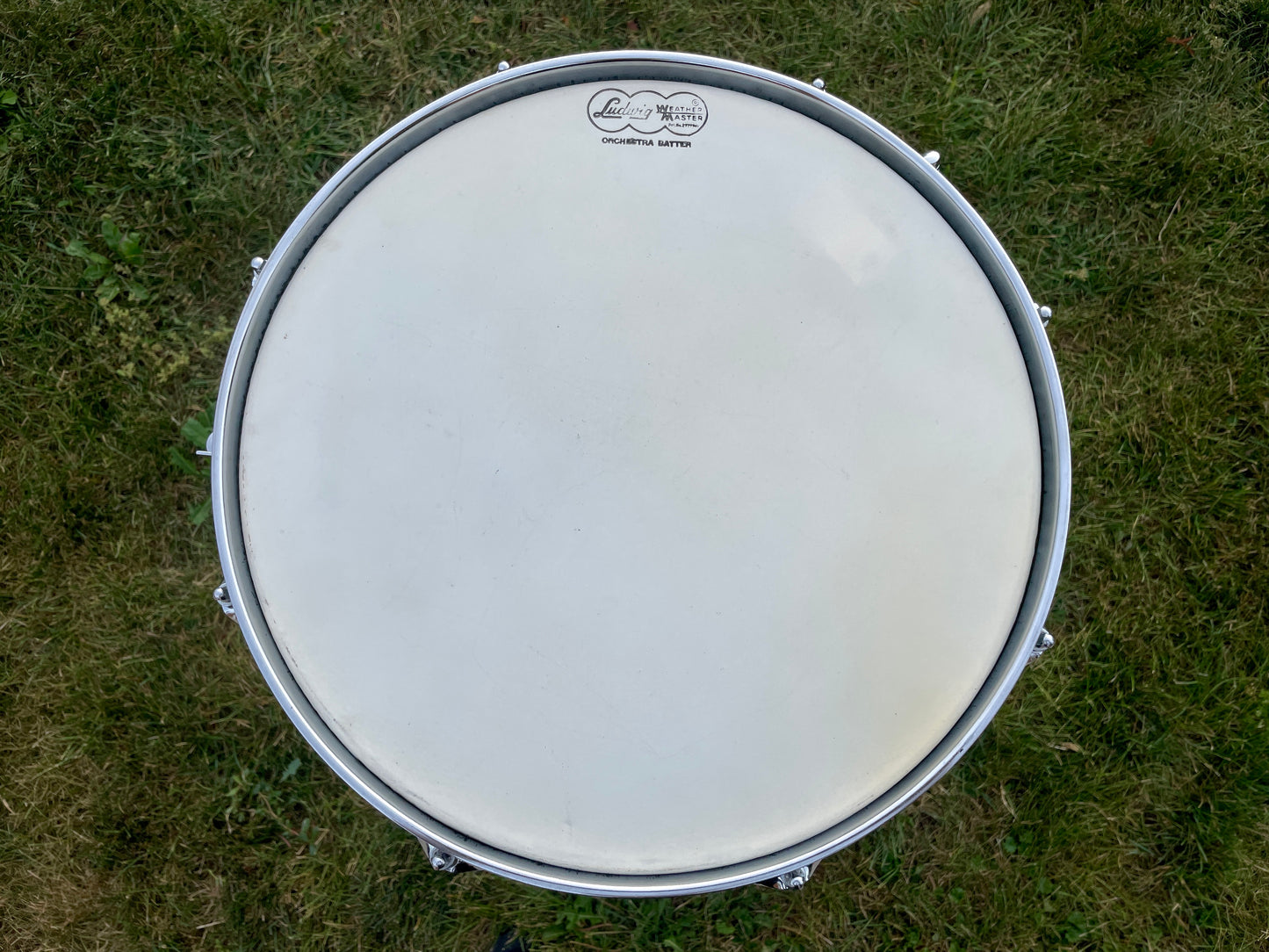 1966 Ludwig Jazz Festival 5x14 Snare Drum Oyster Black Pearl Ringo Starr The Beatles