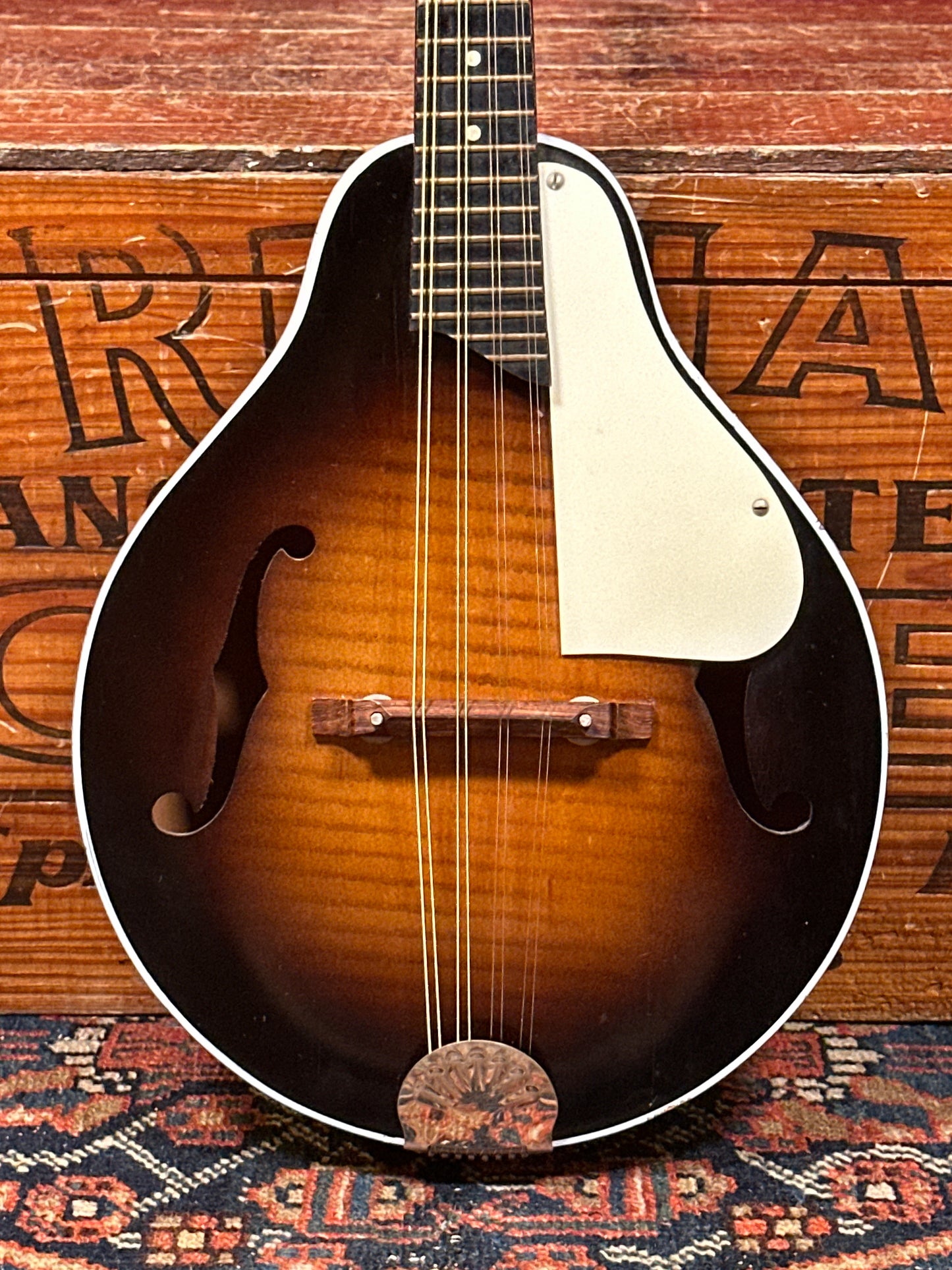1960s Kay K64 A-Style Mandolin Sunburst 464