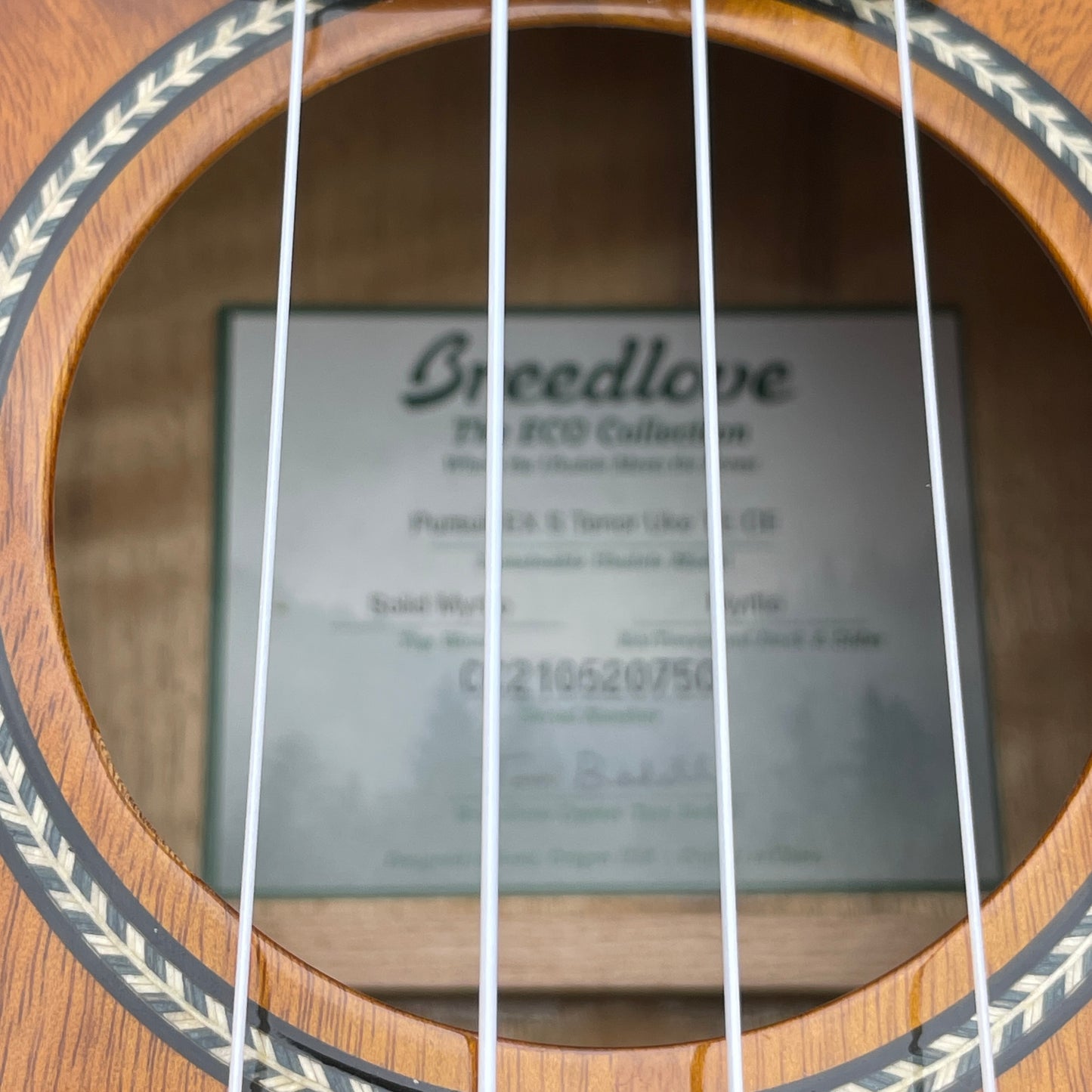 Breedlove Pursuit Exotic CE Myrtlewood Tenor Ukulele Acoustic-Electric Cinnamon Burst w/ Gig Bag