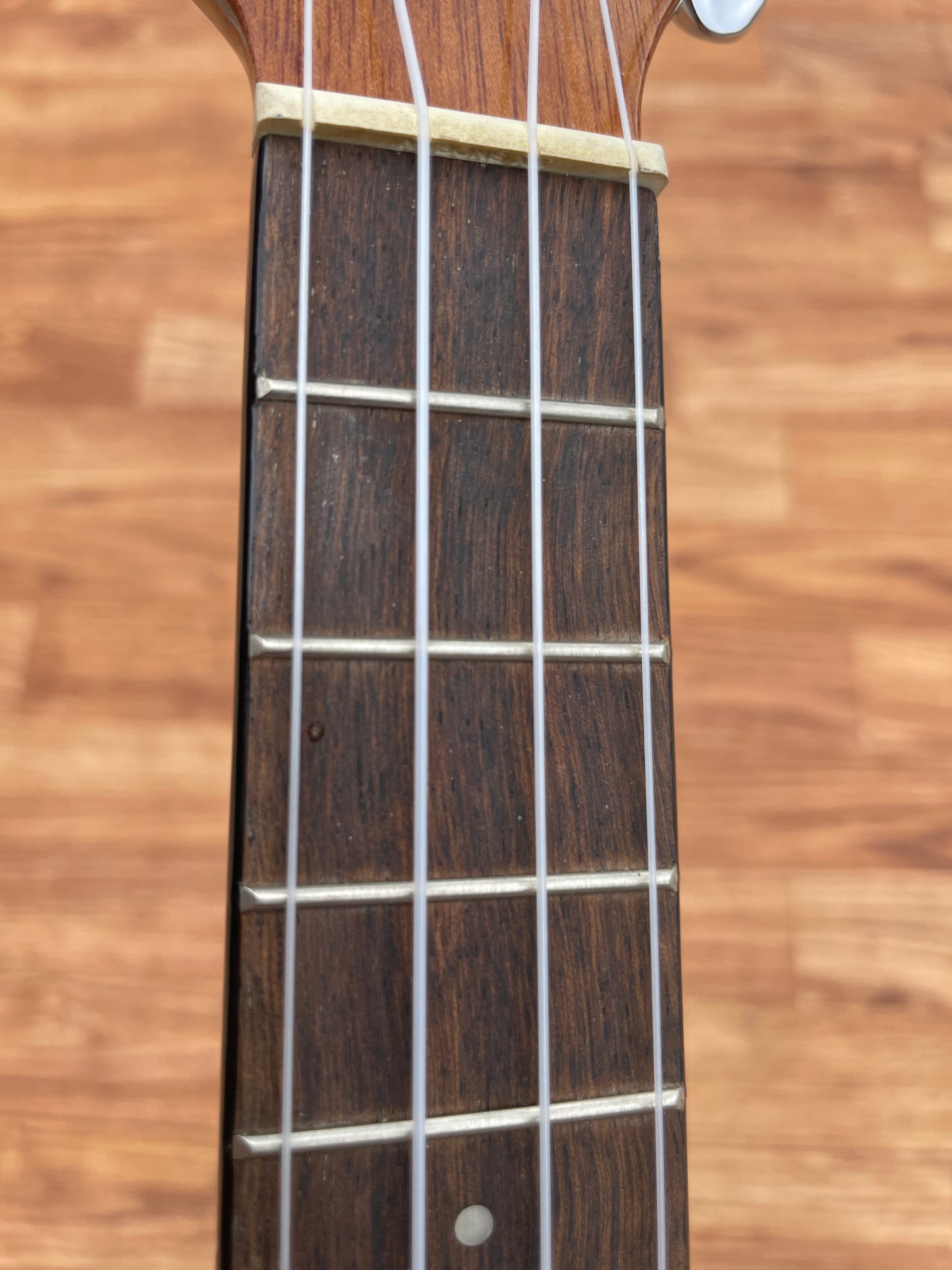 Kala KA-CG Mahogany Concert Ukulele w/ Gig Bag