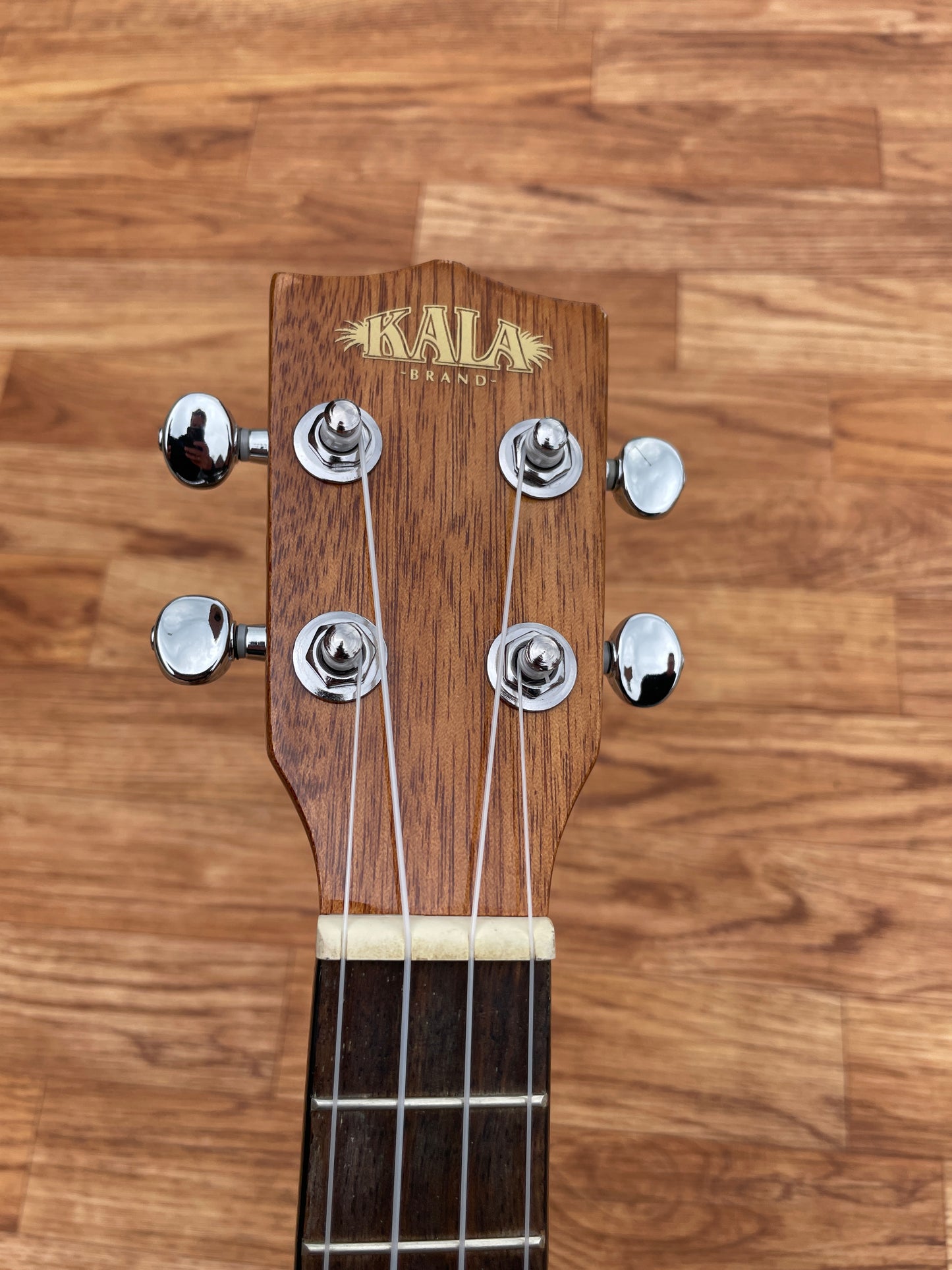 Kala KA-CG Mahogany Concert Ukulele w/ Gig Bag