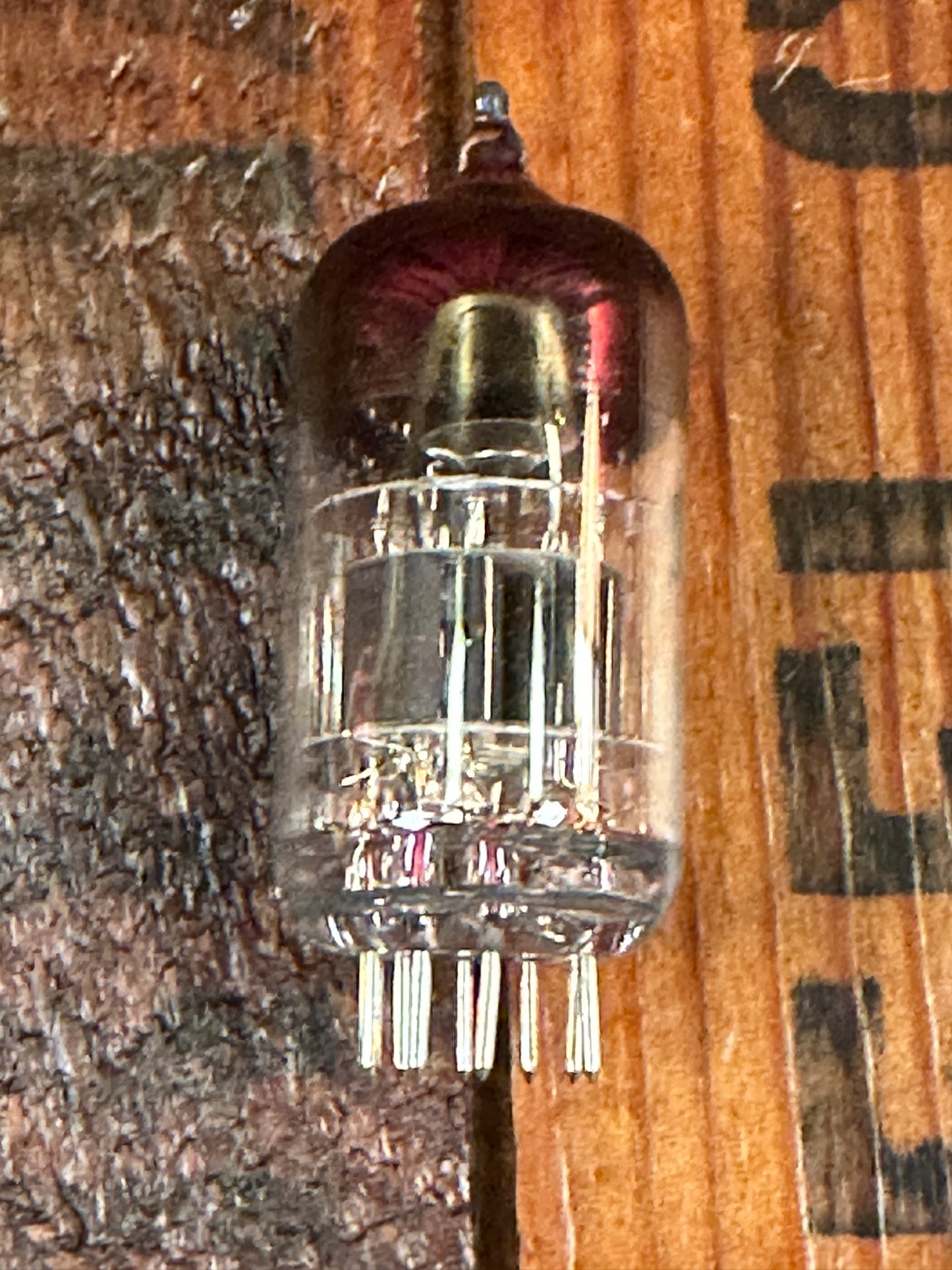 Sovtek 7025 / 12AX7WA Tube Valve, Back