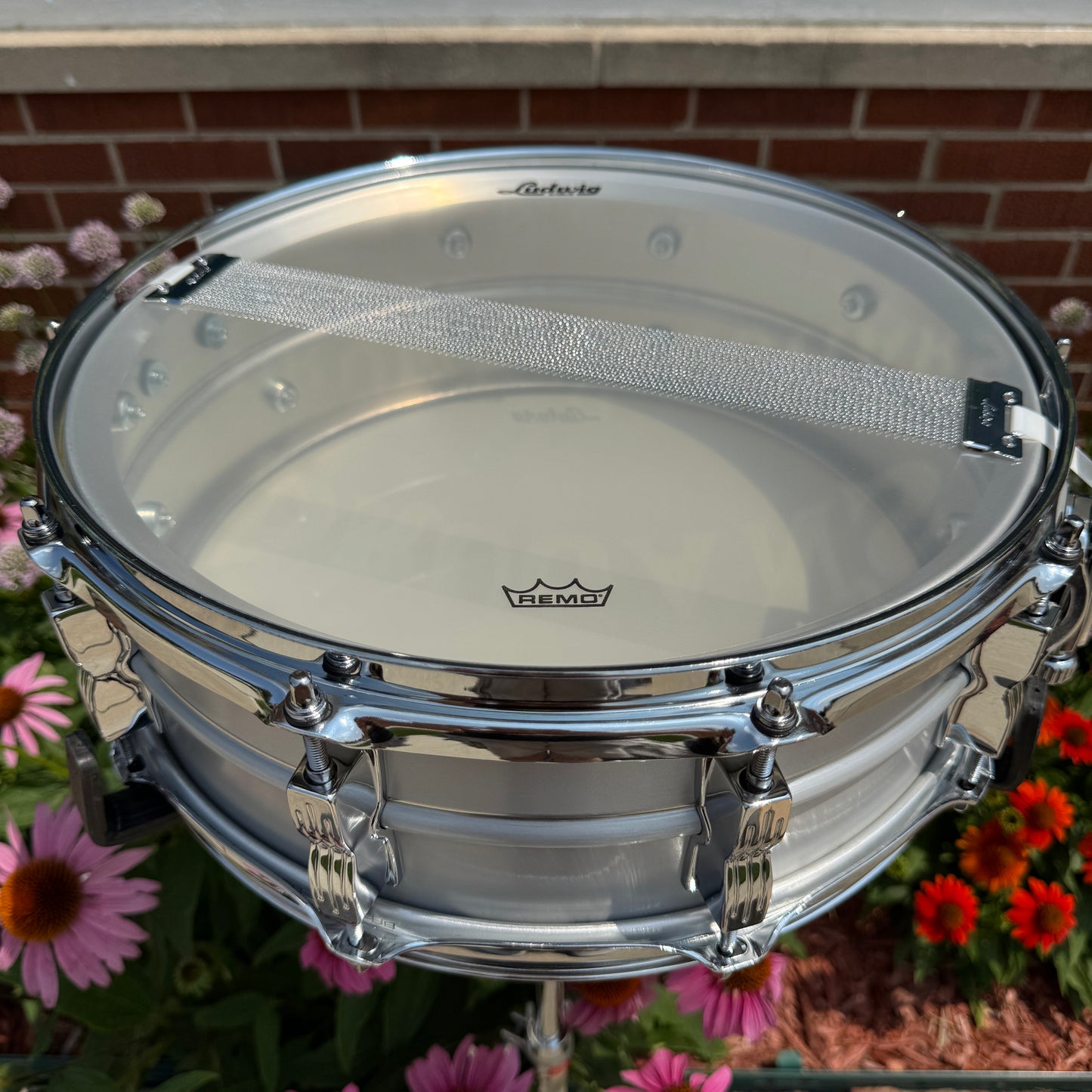 Ludwig 5x14 Acrolite Classic 10-Lug Snare Drum w/ Box LM404C10