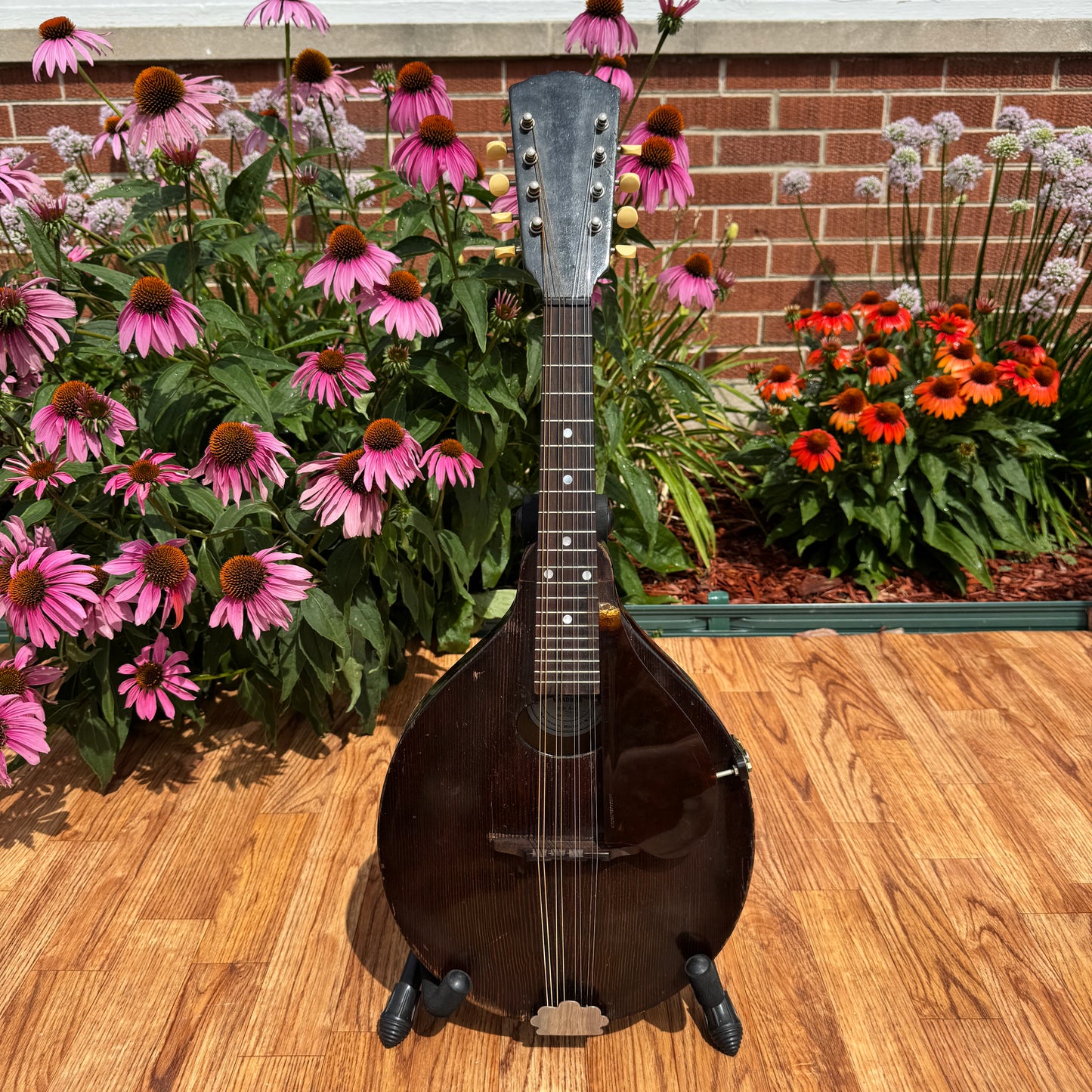 1920s Gibson Junior Style A-Jr Mandolin w/ Gibson HSC