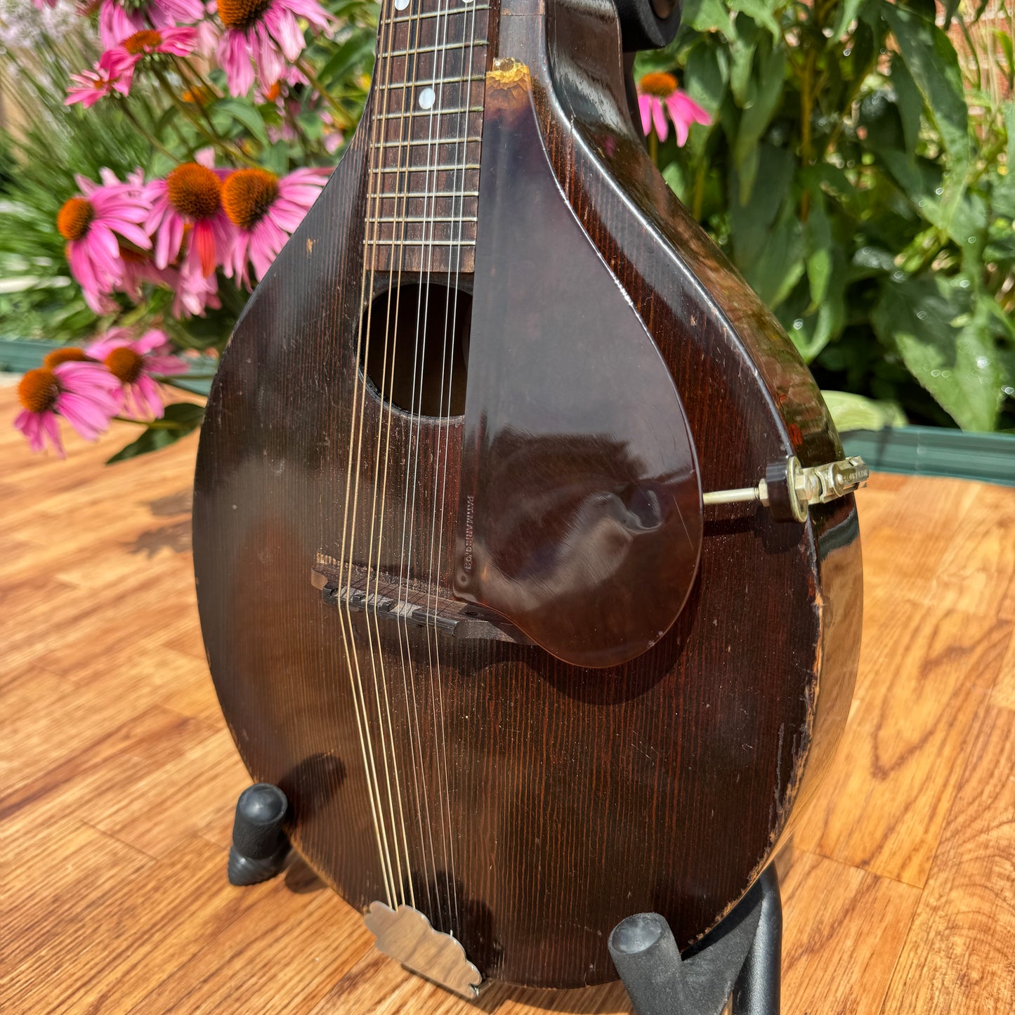 1920s Gibson Junior Style A-Jr Mandolin w/ Gibson HSC