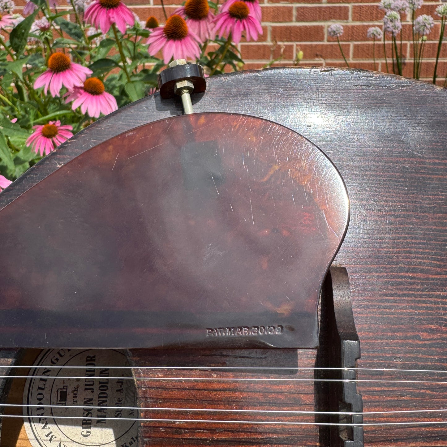 1920s Gibson Junior Style A-Jr Mandolin w/ Gibson HSC
