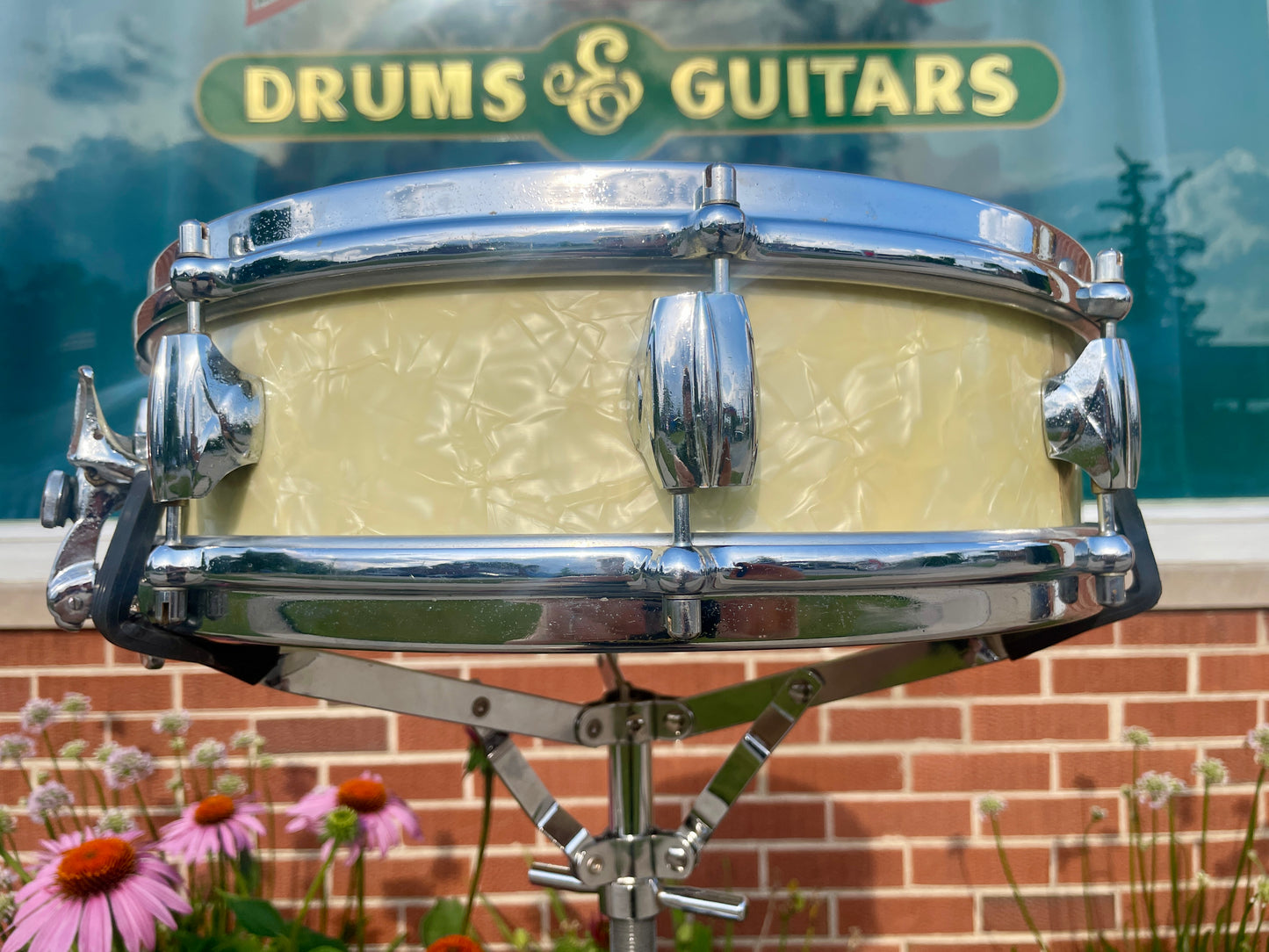 1960s Premier 4x14 Royal-Ace White Marine Pearl