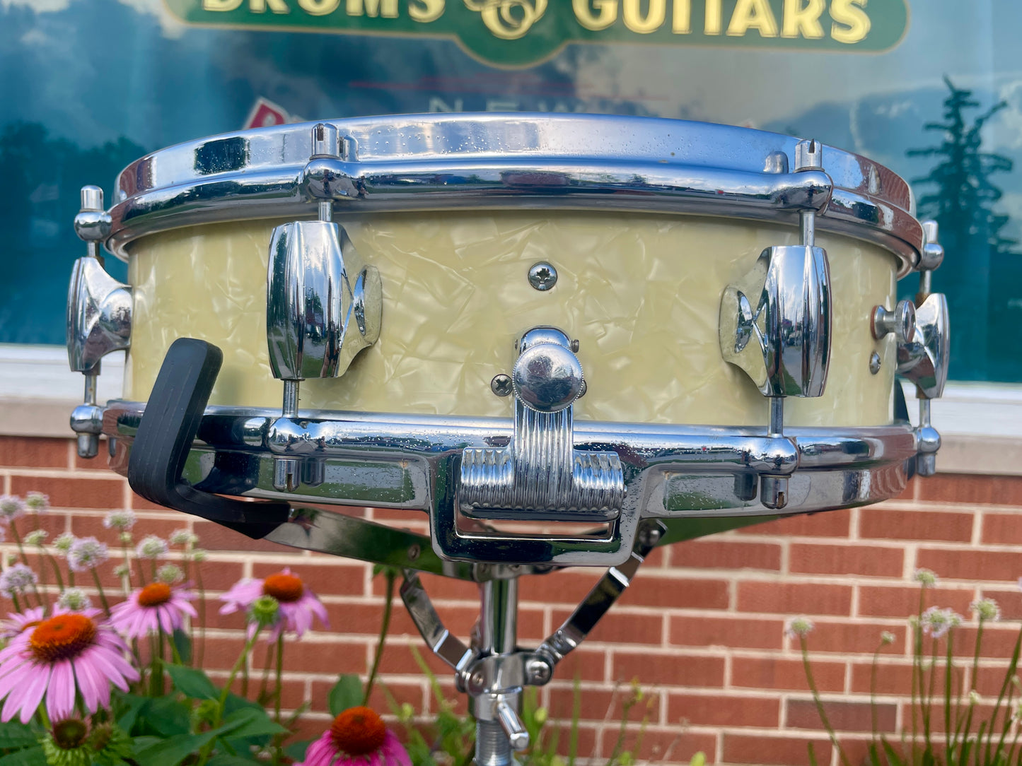 1960s Premier 4x14 Royal-Ace White Marine Pearl