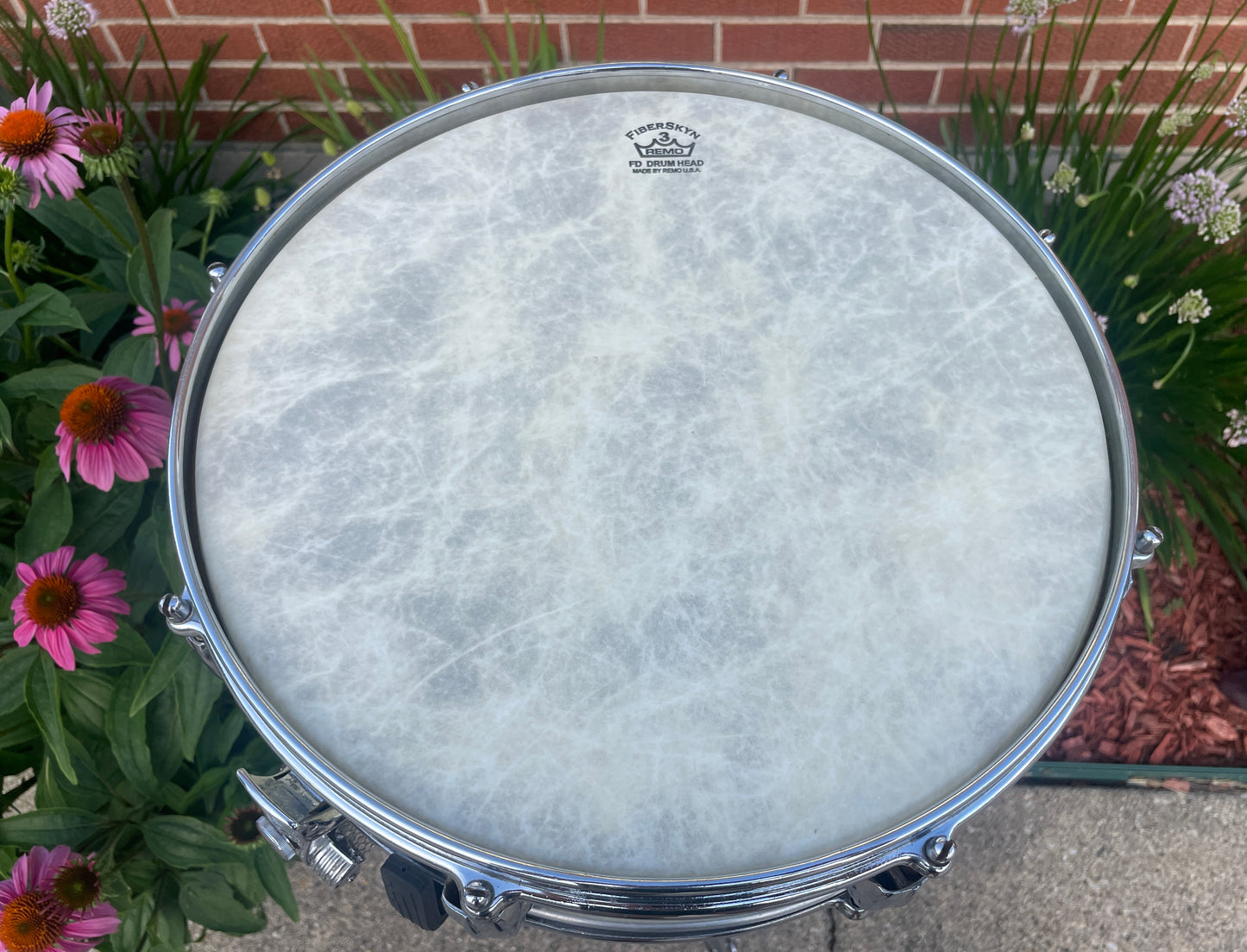 1960s Premier 4x14 Royal-Ace White Marine Pearl