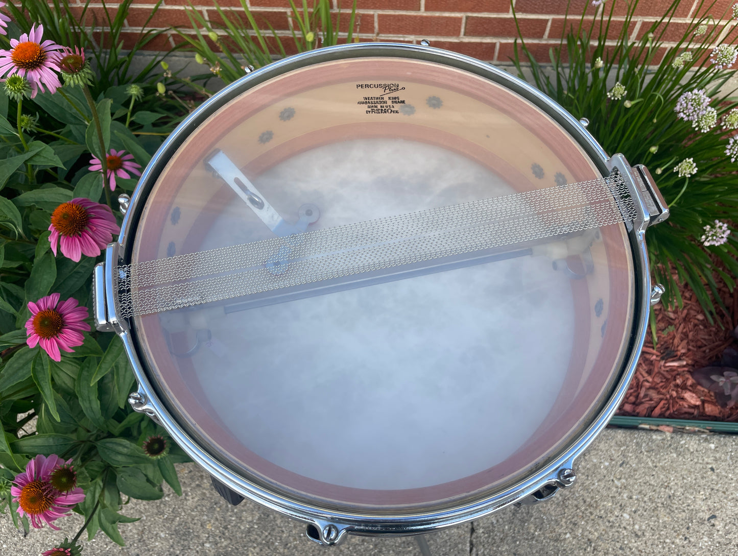 1960s Premier 4x14 Royal-Ace White Marine Pearl
