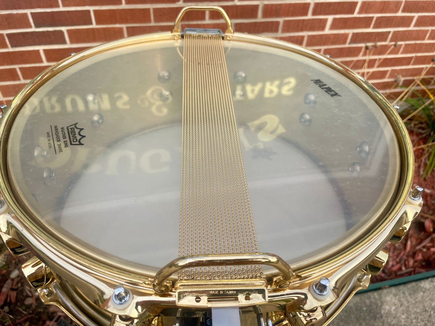 1996 Mapex Carmine Appice 5.5x14 Signature Seamless Brass Snare Drum