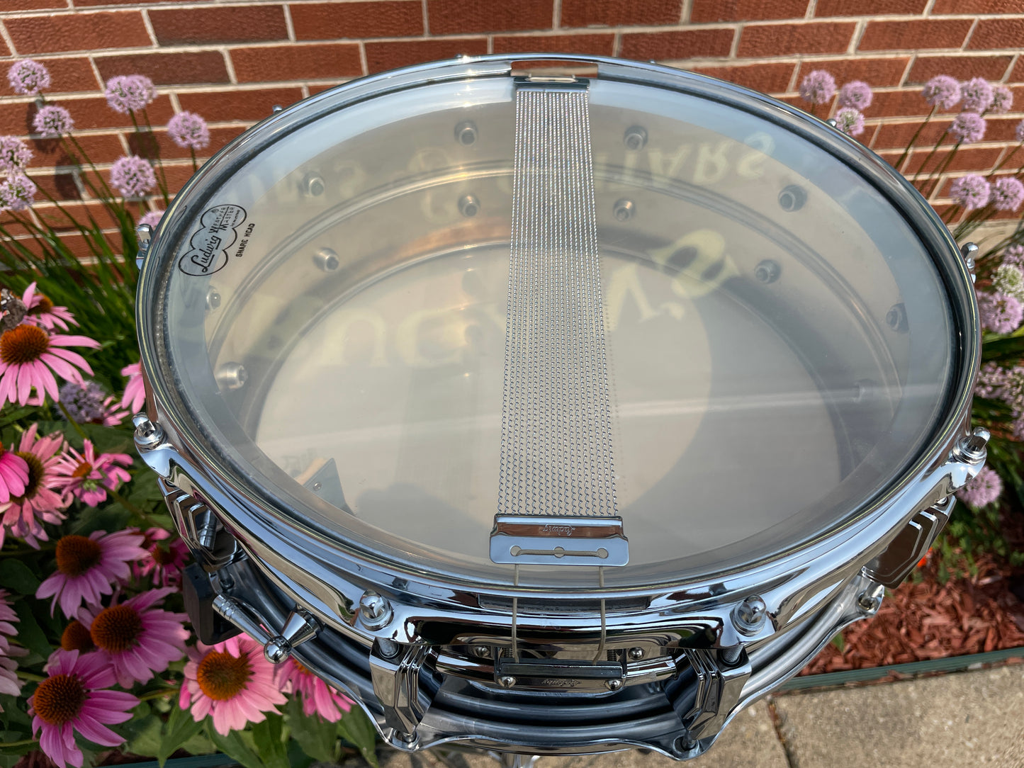 1960s Ludwig 5x14 Supraphonic No. 400 Snare Drum Supra-Phonic *Brass Hoops *