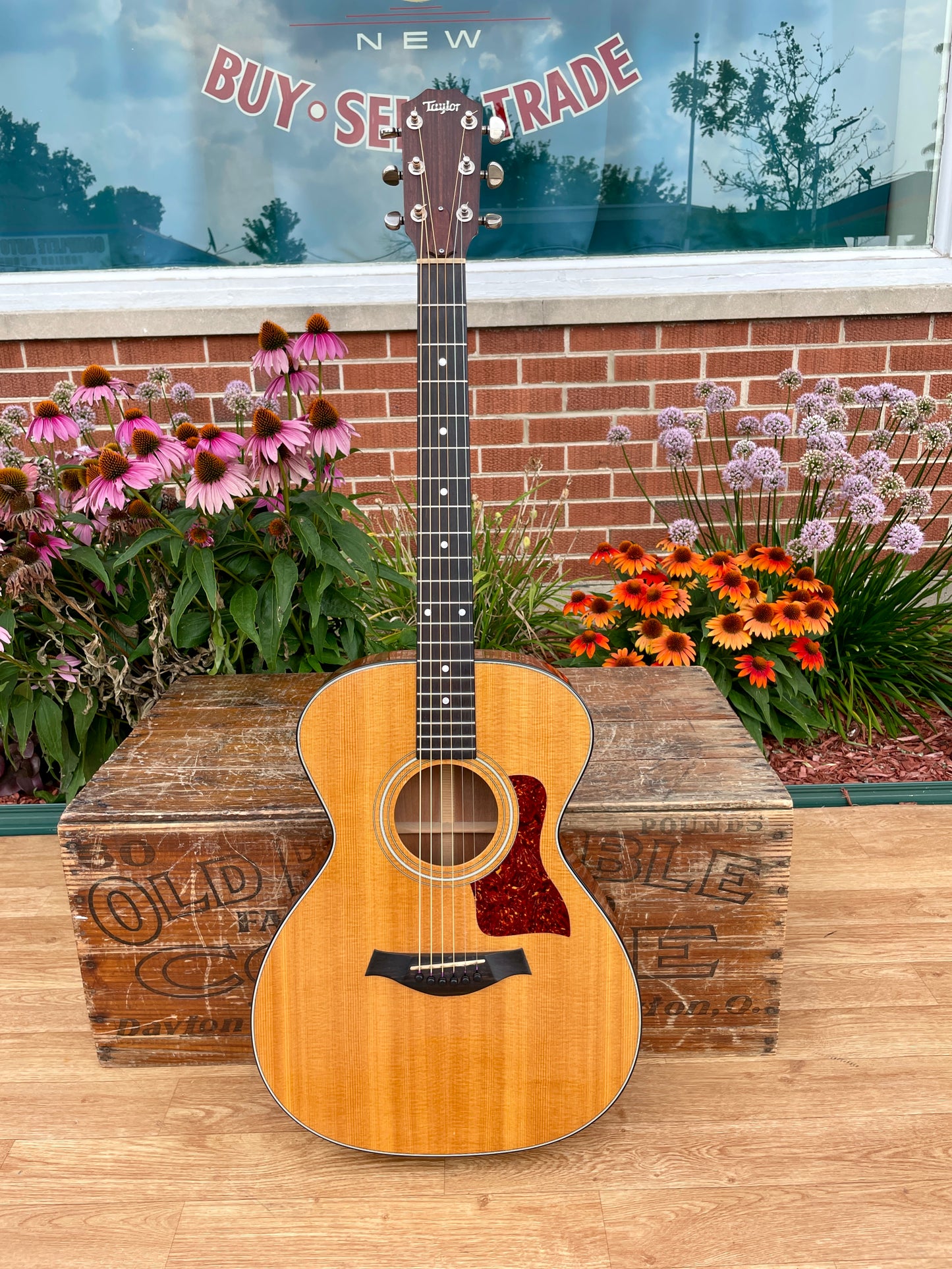 1980s Taylor 512 Grand Concert Acoustic Guitar Natural Lemon Grove Era w/ OHSC