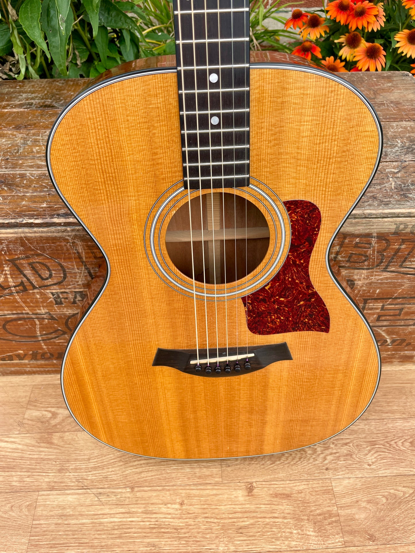 1980s Taylor 512 Grand Concert Acoustic Guitar Natural Lemon Grove Era w/ OHSC