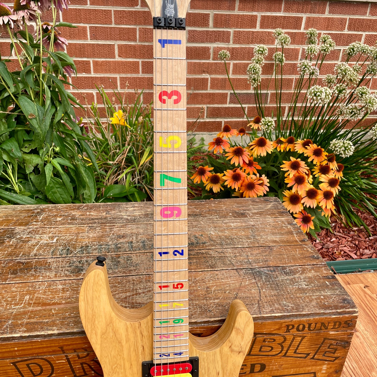 Carvin JB24 Jason Becker Signature Numbers Electric Guitar w/ OHSC Kiesel