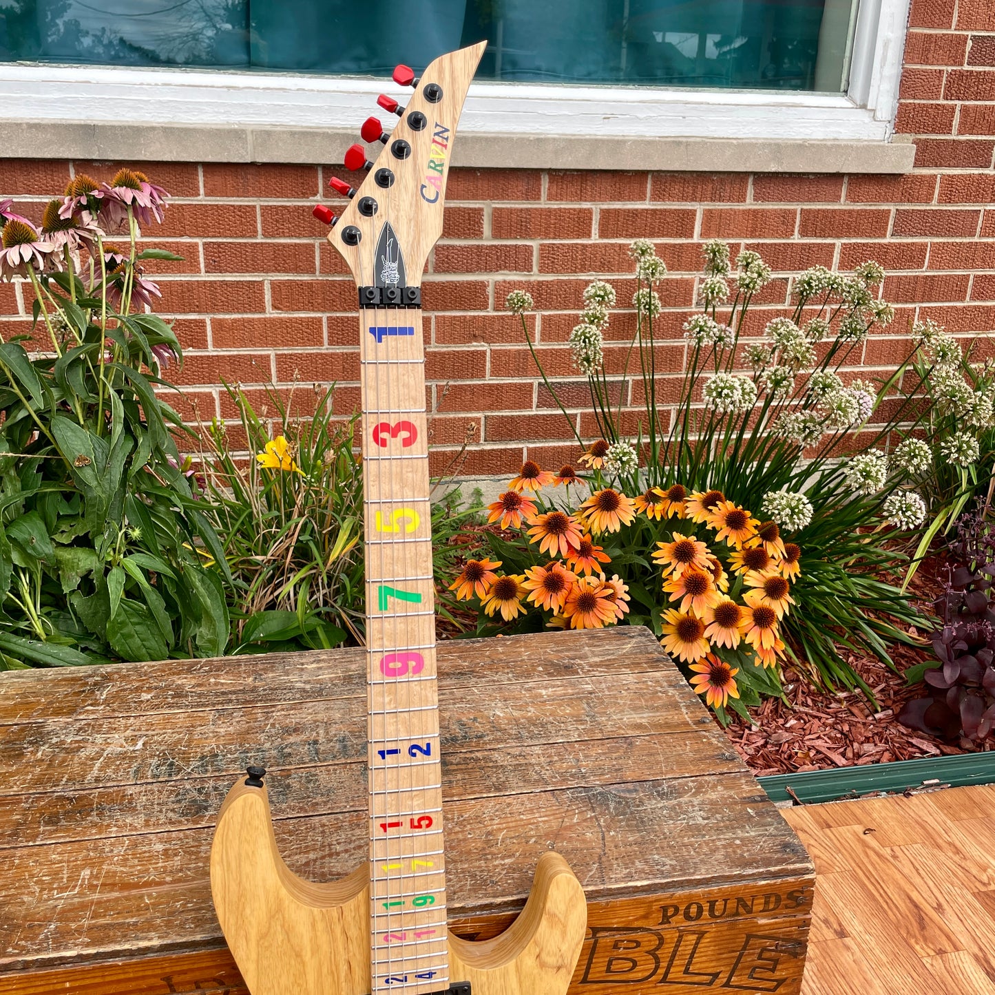 Carvin JB24 Jason Becker Signature Numbers Electric Guitar w/ OHSC Kiesel