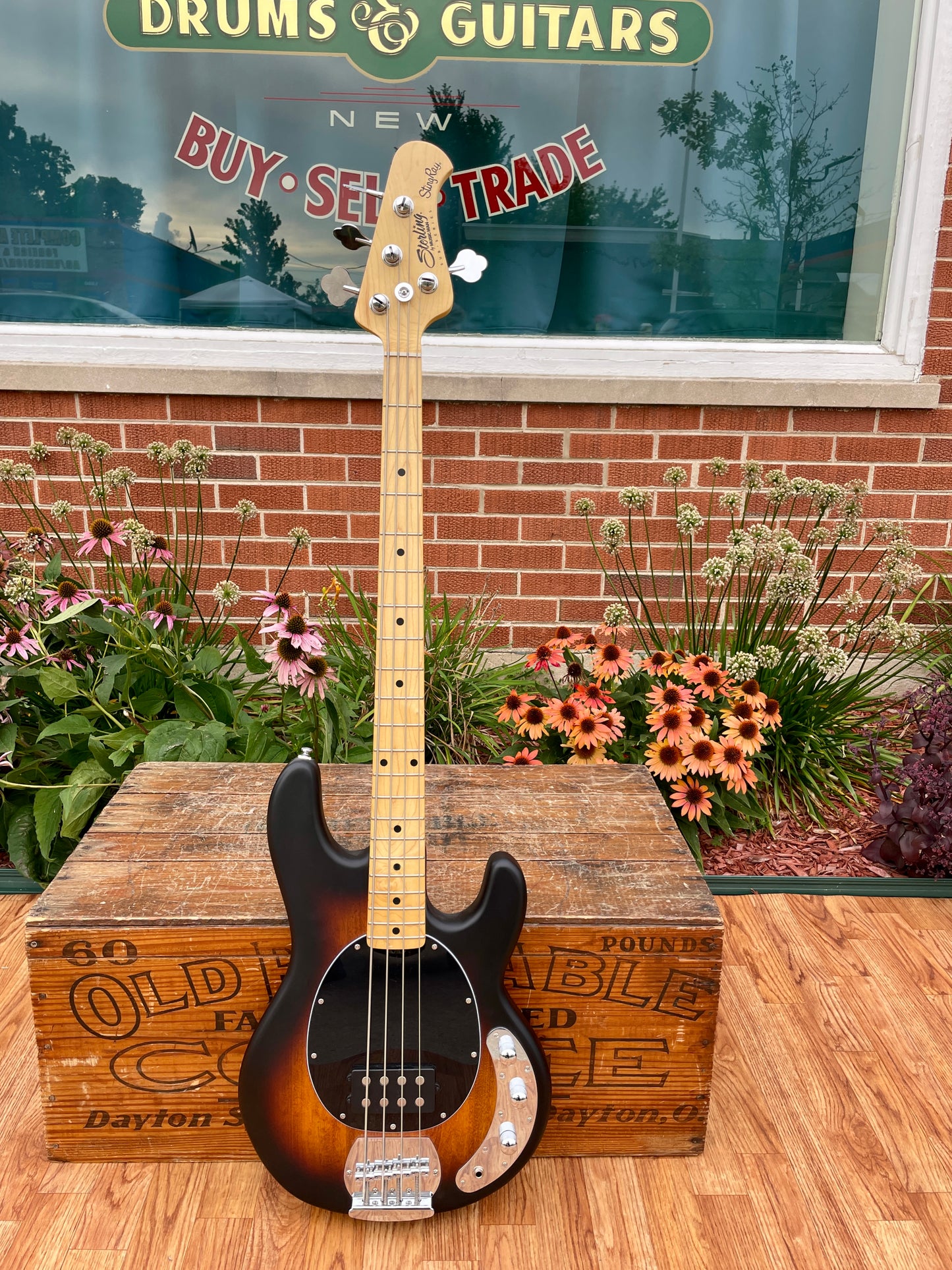Sterling By Music Man StingRay RAY4 Bass Guitar Vintage Sunburst Satin w/ Case