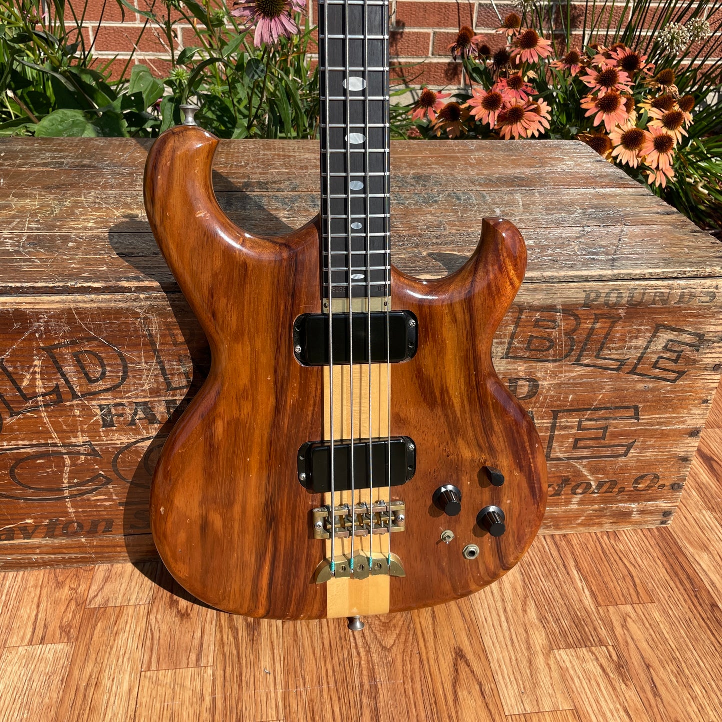 1982 Alembic Spoiler Bass Guitar w/ Hardshell Case