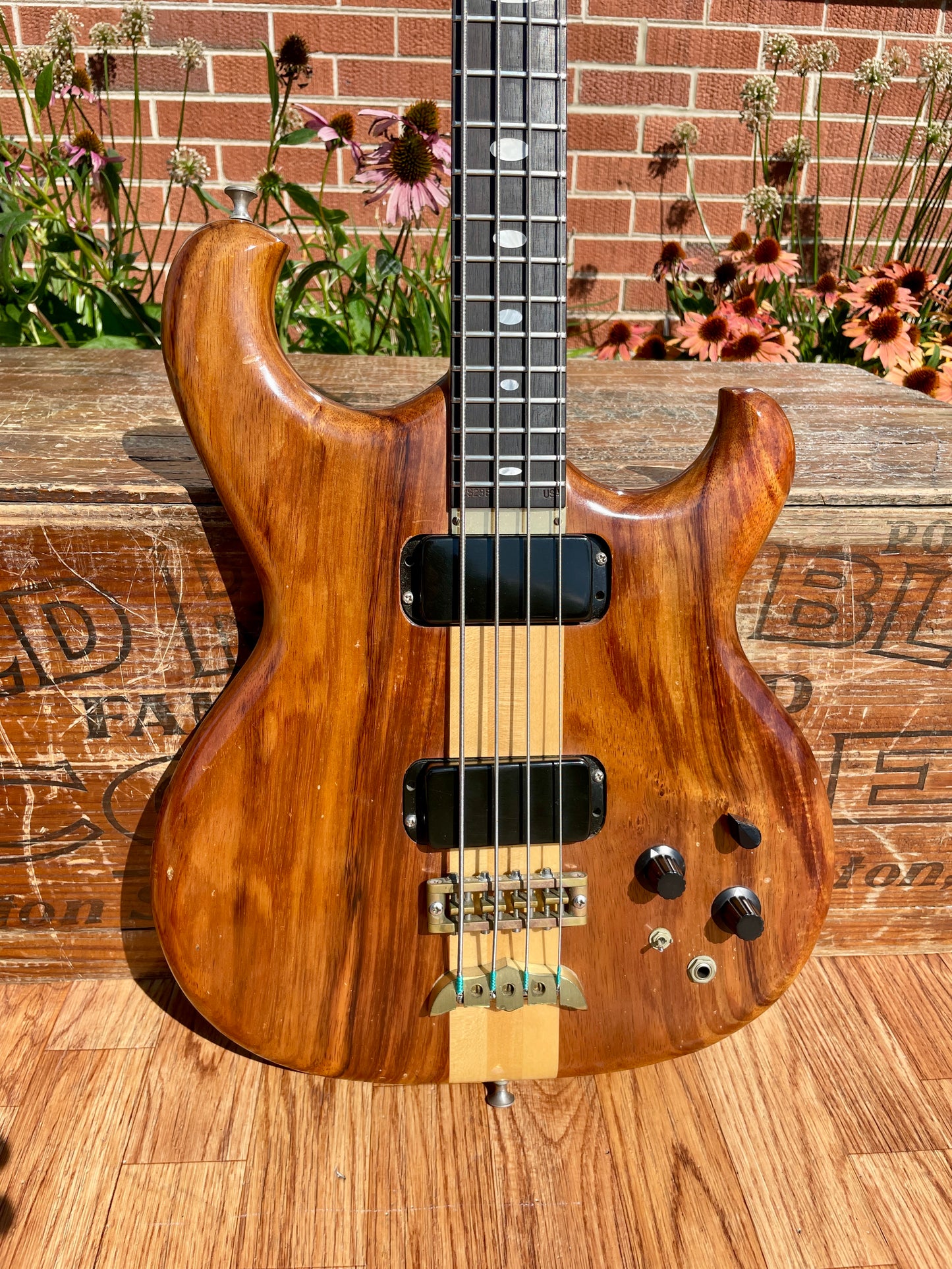 1982 Alembic Spoiler Bass Guitar w/ Hardshell Case