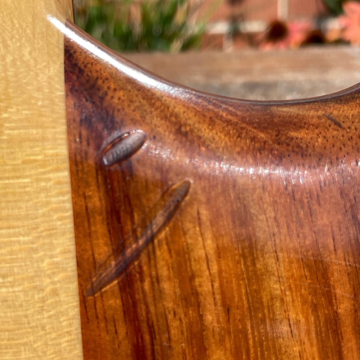 1982 Alembic Spoiler Bass Guitar w/ Hardshell Case