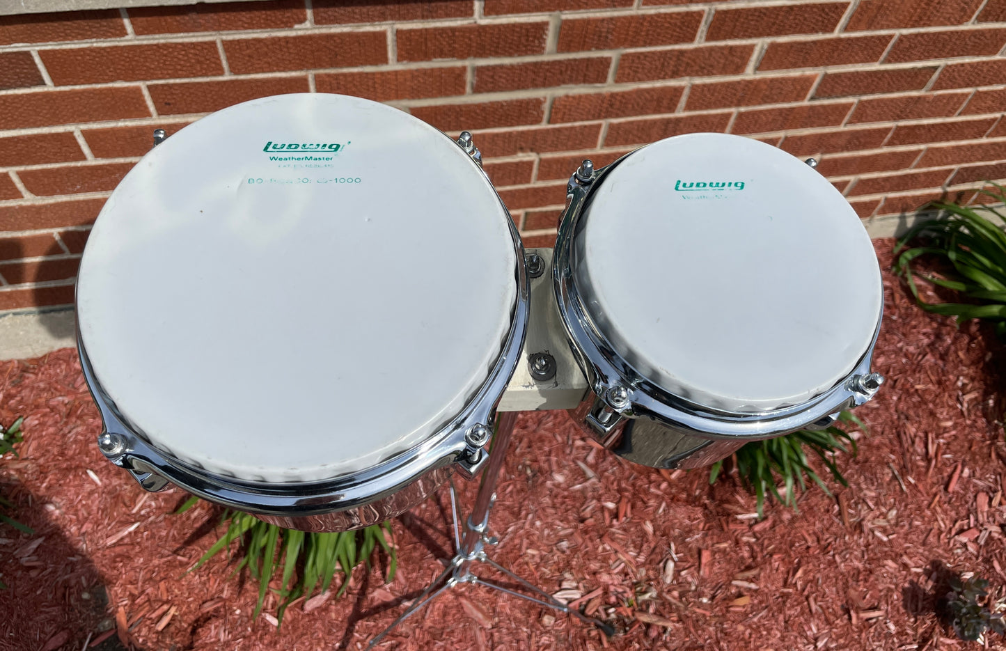 1970s Ludwig 6" & 8" Stainless Steel Single Headed Bongos w/ Slide Mount