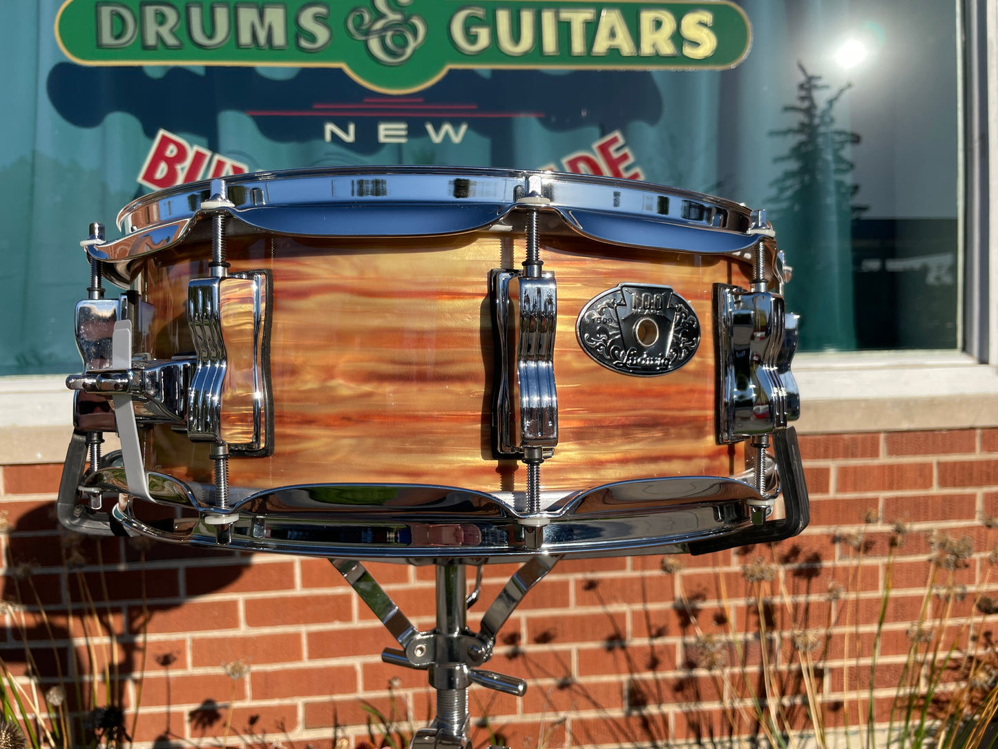 N.O.S. Ludwig Classic Maple 5x14 100th Anniversary 1964 Jazz Festival Reissue Snare Pre-Aged Pink Oyster Pearl #240