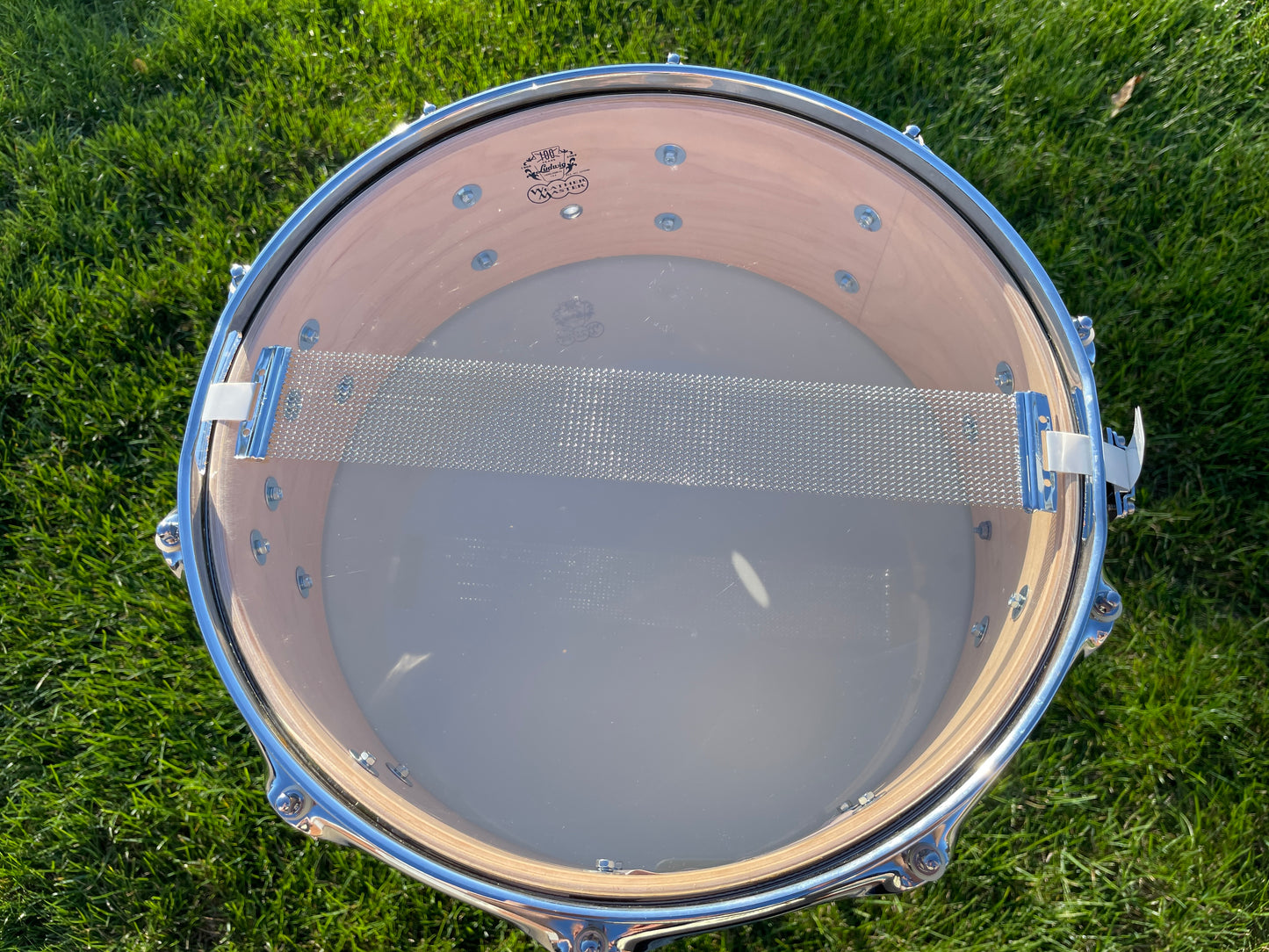 N.O.S. Ludwig Classic Maple 5x14 100th Anniversary 1964 Jazz Festival Reissue Snare Pre-Aged Pink Oyster Pearl #240