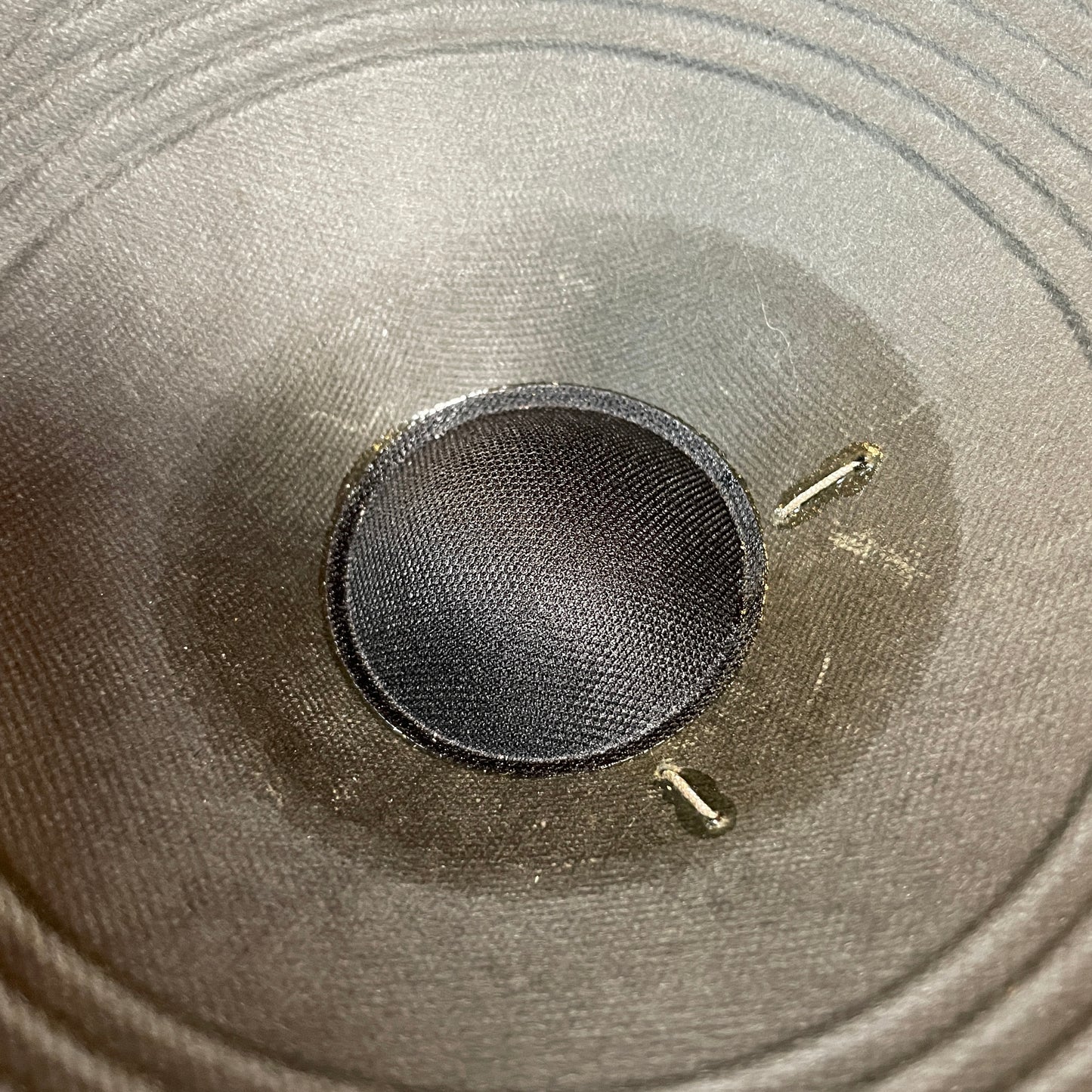 Austin Speaker Works Elegante 12" 80W Guitar Speaker 8 Ohm ASW (Stock #6)