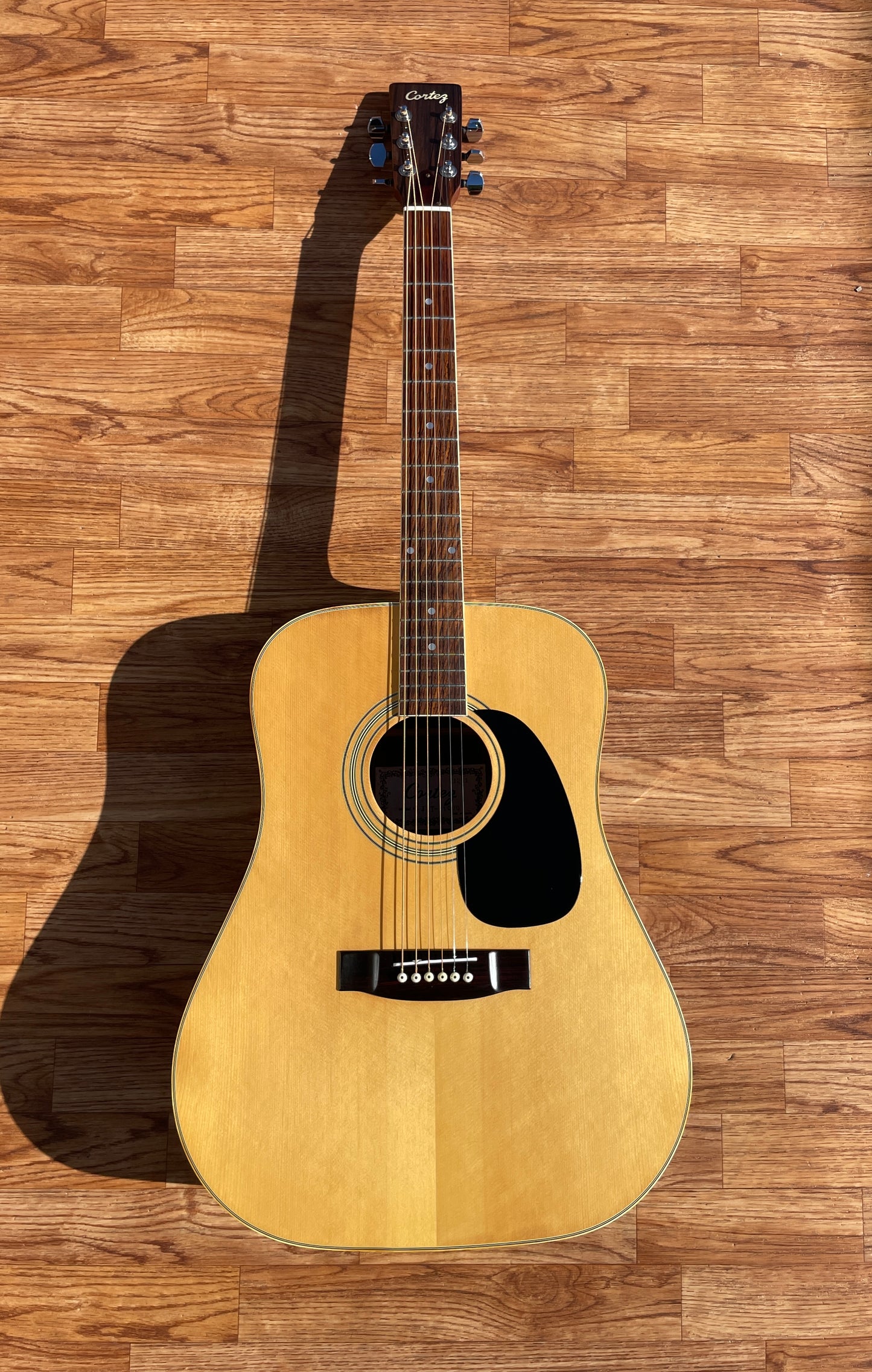 1970s Cortez Acoustic Guitar Natural JST-1000 MIJ