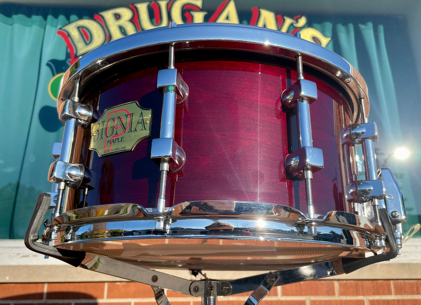 NOS Premier 7x14 Signia Maple Snare Drum Cherrywood 10-Lug