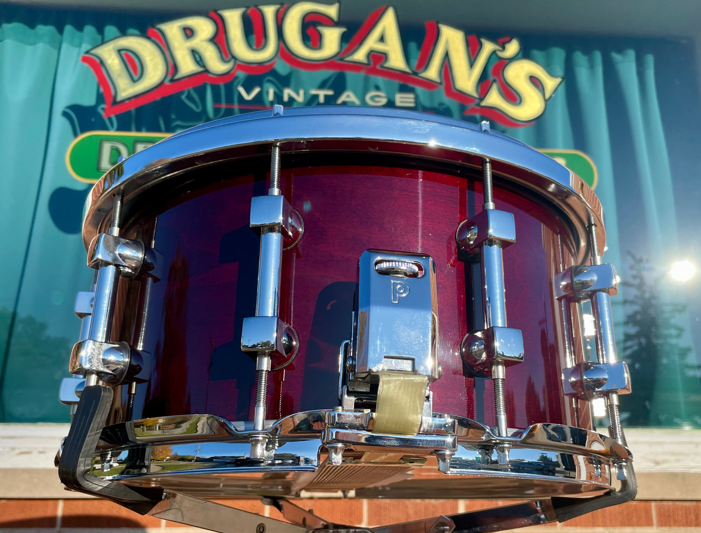 NOS Premier 7x14 Signia Maple Snare Drum Cherrywood 10-Lug