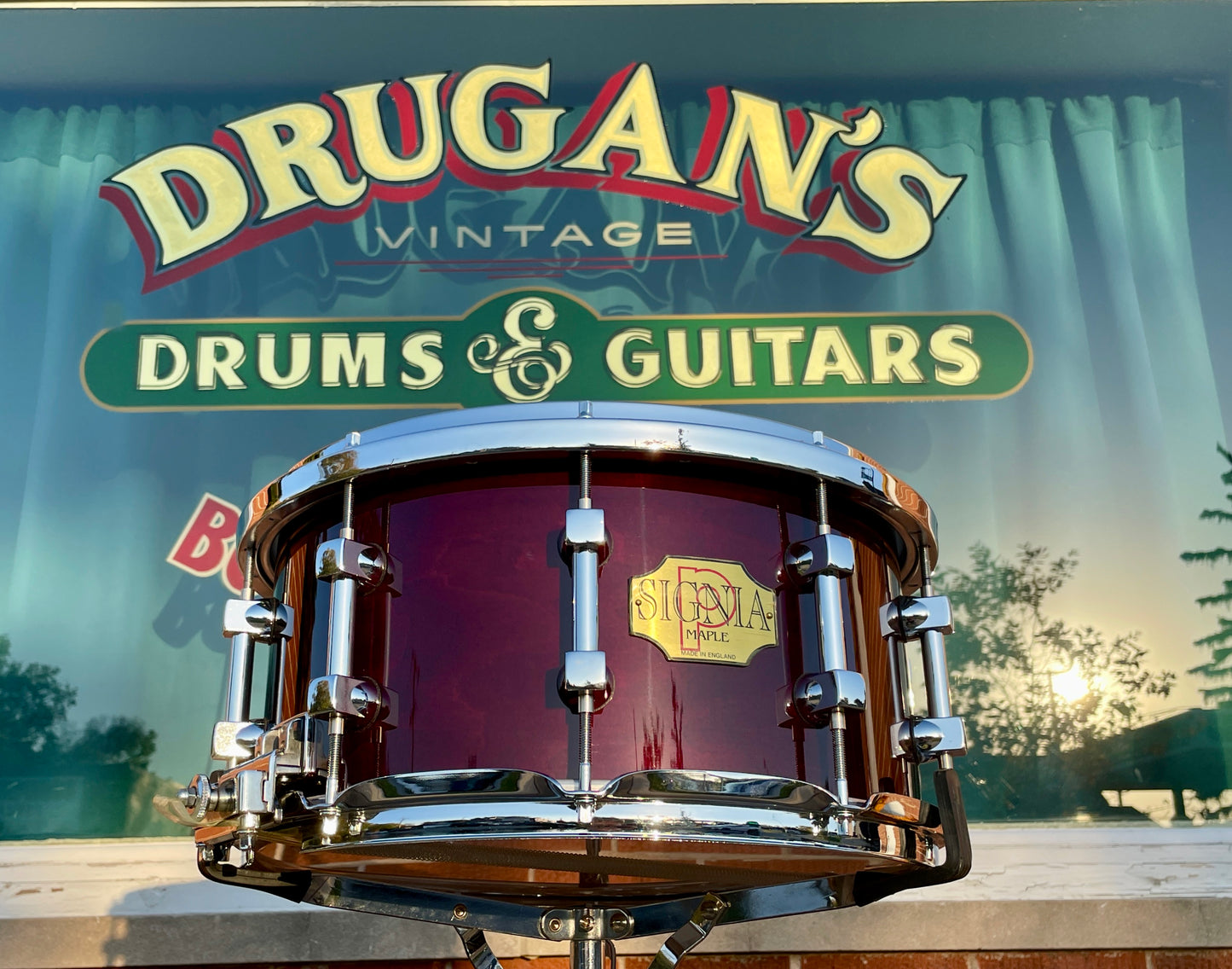 NOS Premier 7x14 Signia Maple Snare Drum Cherrywood 10-Lug