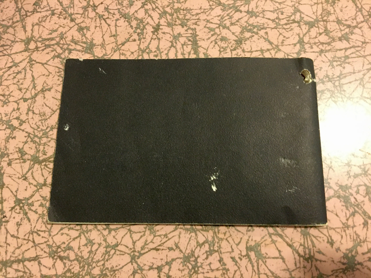 1960s / 1970s Gibson Warranty & Instruction Hang Tag Booklet Case Candy