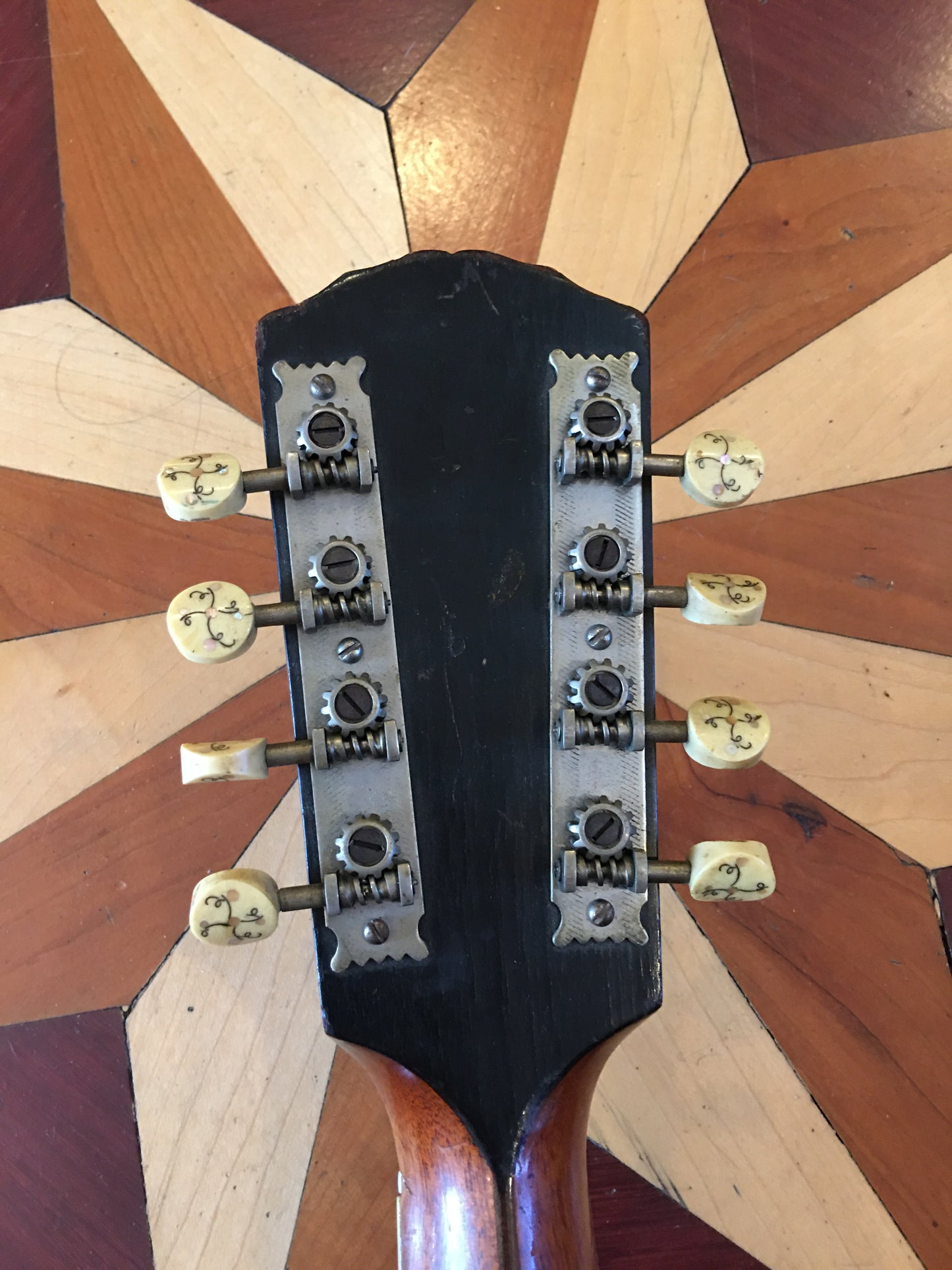 1915 Gibson Mandola H-2 (Mandola version of the A-4 Mandolin) Ebony