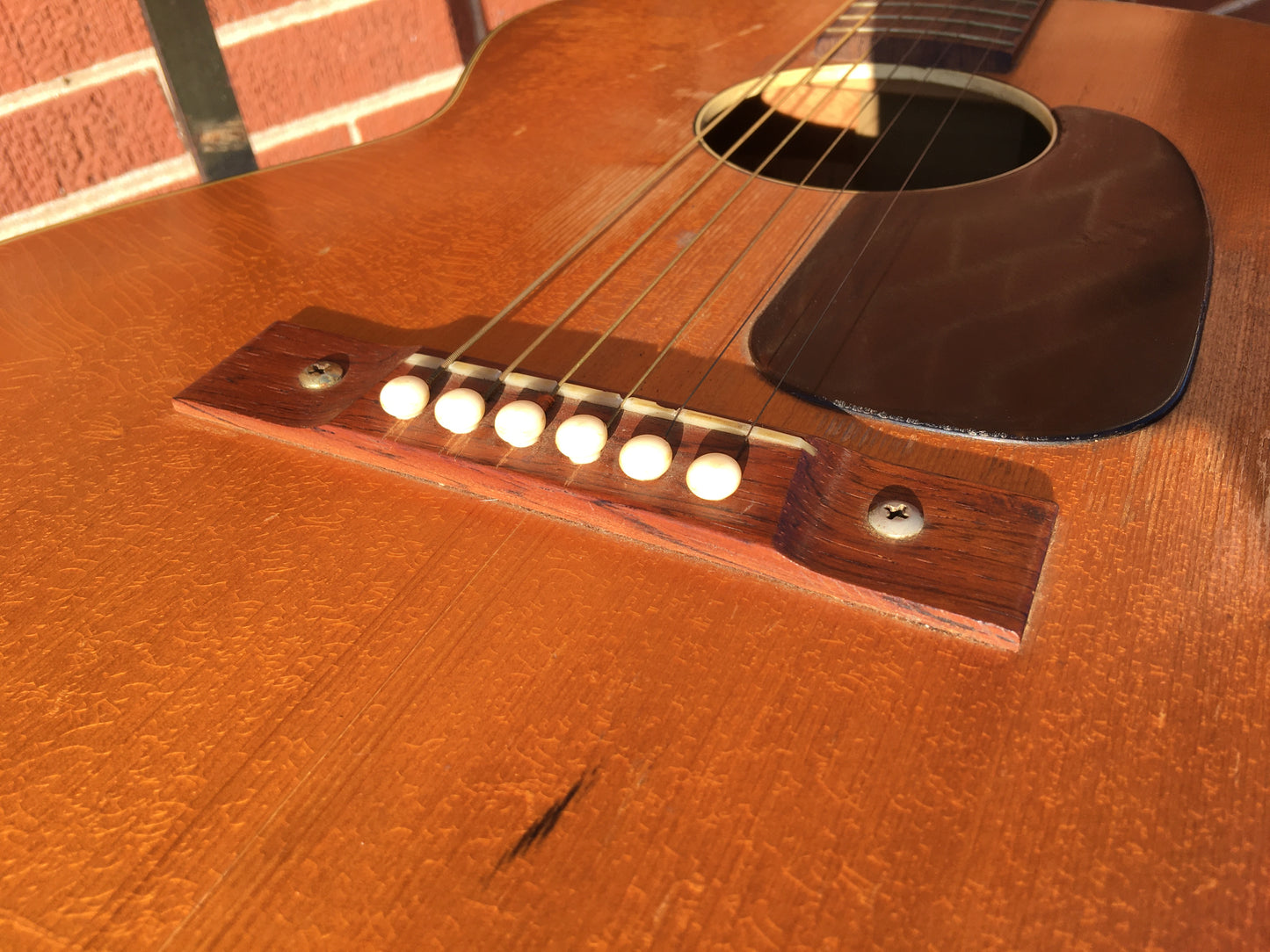 1960s Harmony H162 Tortoise Double Bound Acoustic Guitar w/CBC