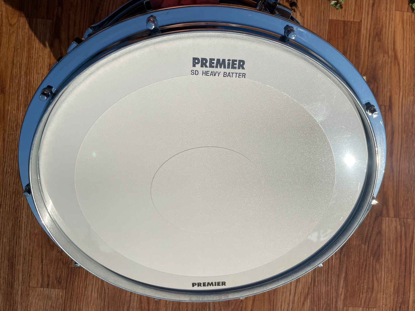 NOS Premier 7x14 Signia Maple Snare Drum Cherrywood 10-Lug