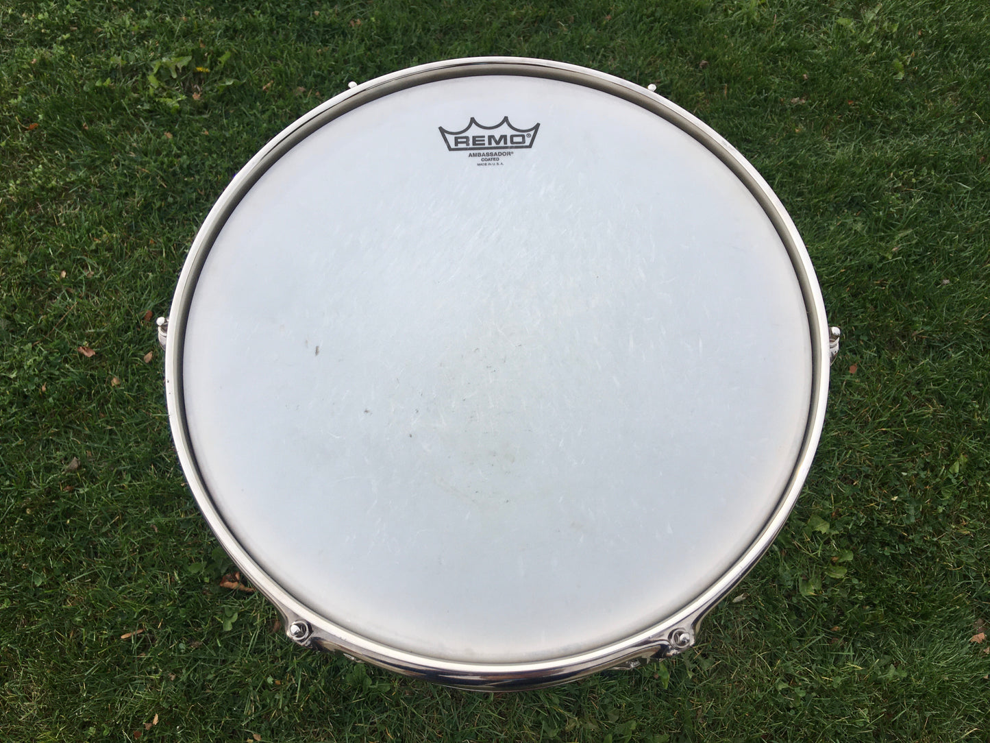 1959 Ludwig Pioneer Transition Badge 6.5X14 Mahogany Snare Drum