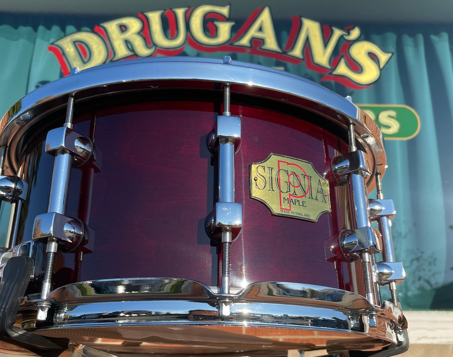 NOS Premier 7x14 Signia Maple Snare Drum Cherrywood 10-Lug