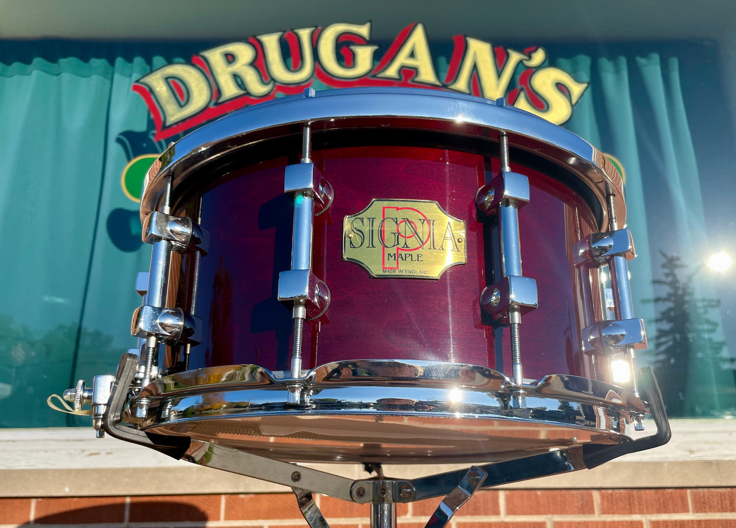 NOS Premier 7x14 Signia Maple Snare Drum Cherrywood 10-Lug