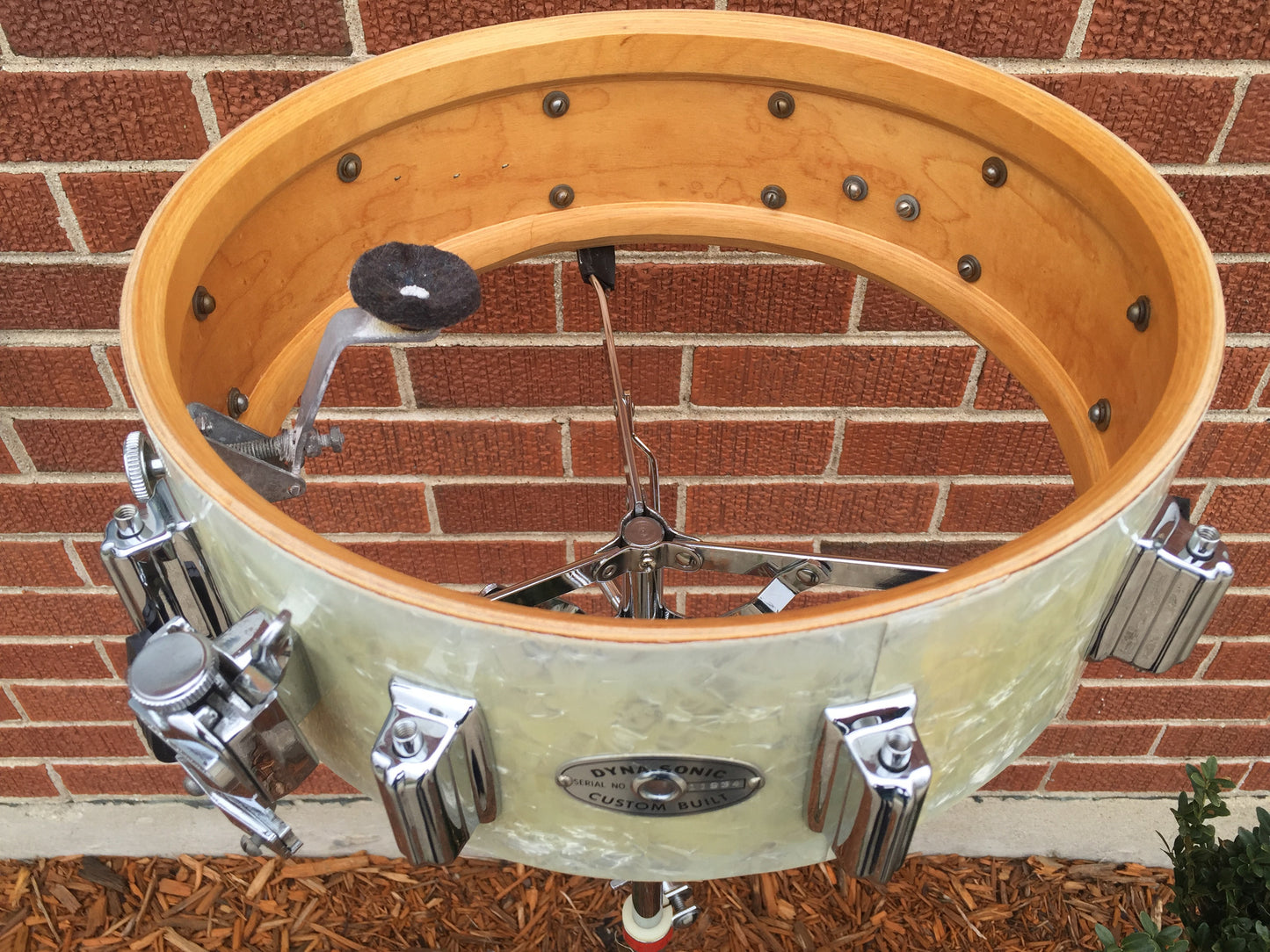 Rogers Buddy Rich Wood Dynasonic Snare Drum 5"x14" Time Capsule WMP