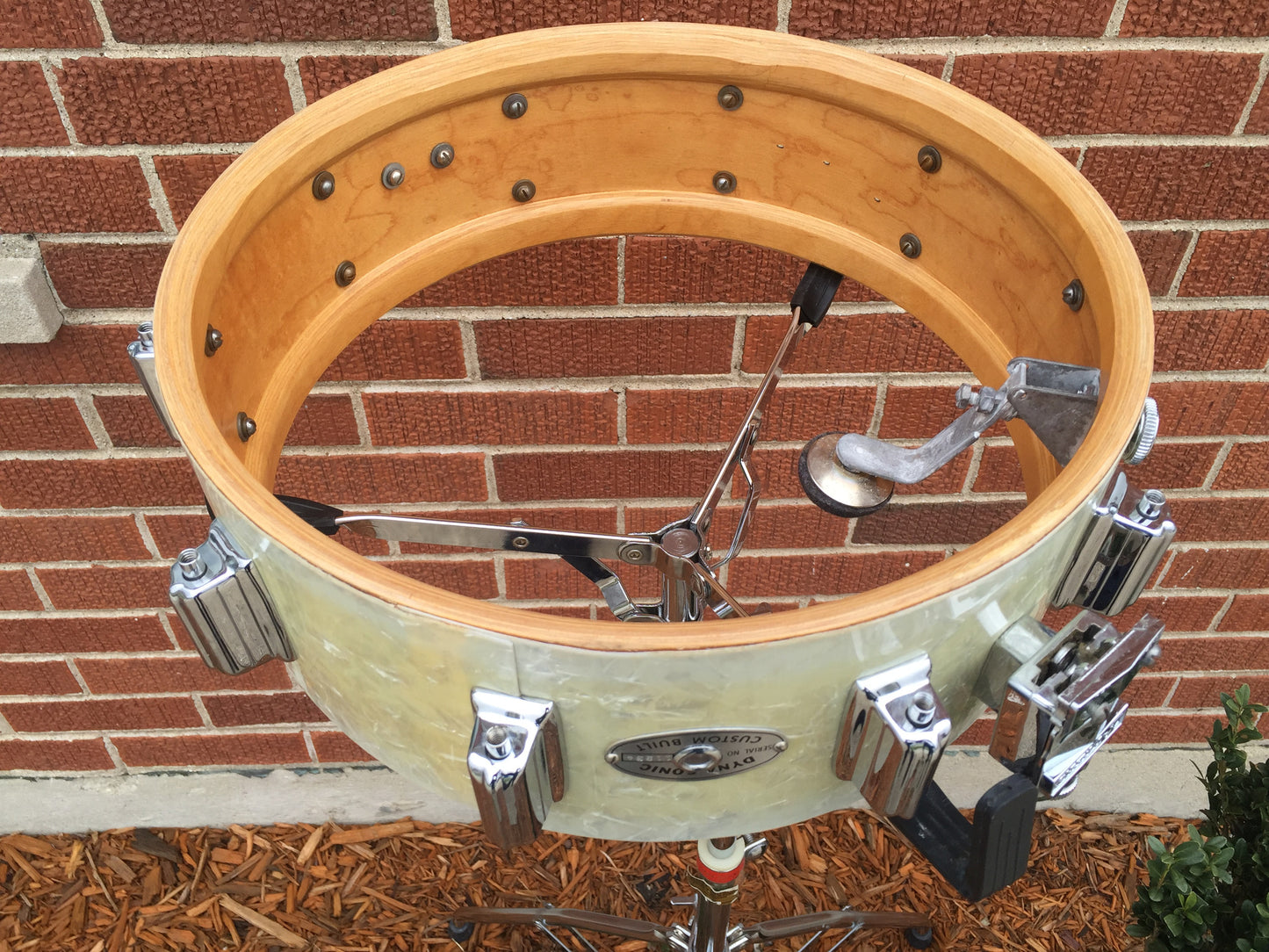 Rogers Buddy Rich Wood Dynasonic Snare Drum 5"x14" Time Capsule WMP