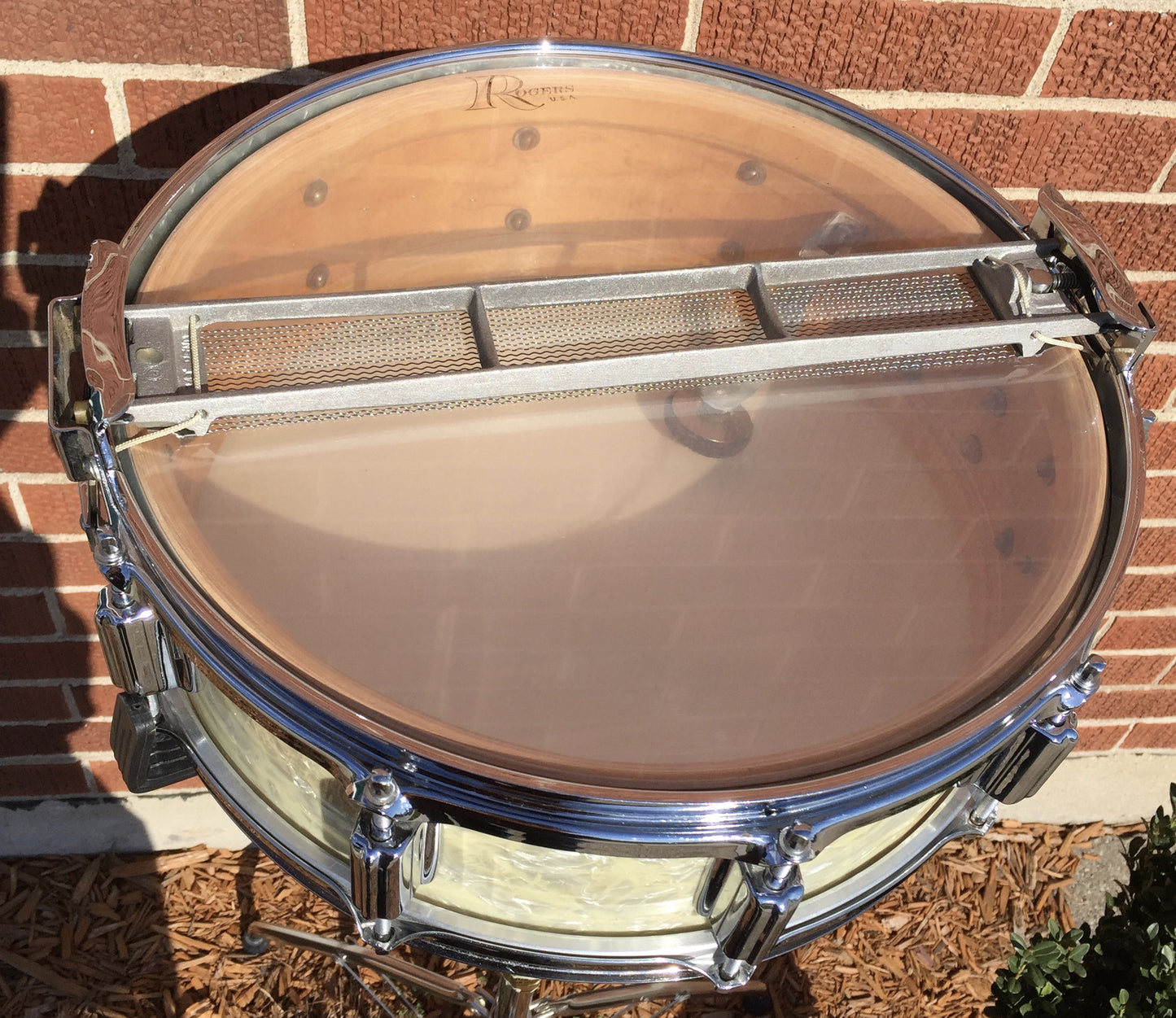 Rogers Buddy Rich Wood Dynasonic Snare Drum 5"x14" Time Capsule WMP