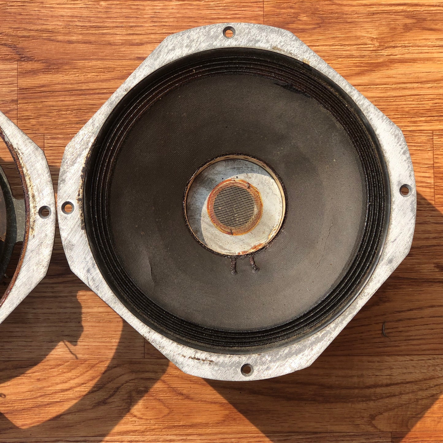 (2) Fender Branded JBL D110F 10" Speaker Pair 8 Ohms