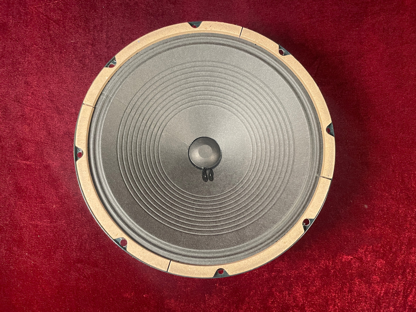 Jensen 12" 50W C12N Guitar Speaker 8 Ohm Made In Italy (Stock #35)