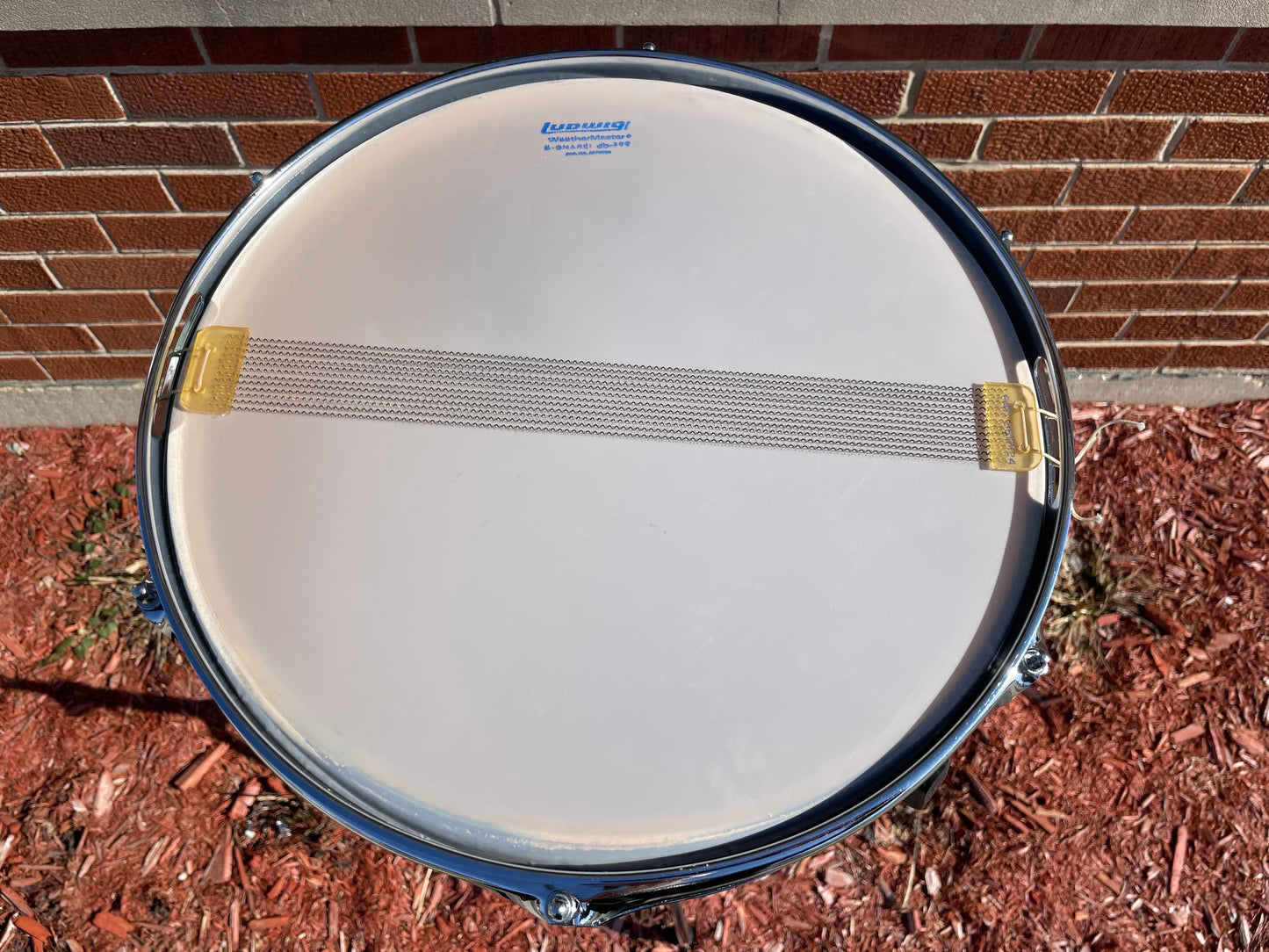 1971 Ludwig 5x14 No. 491L Pioneer Snare Drum Blue Lacquer