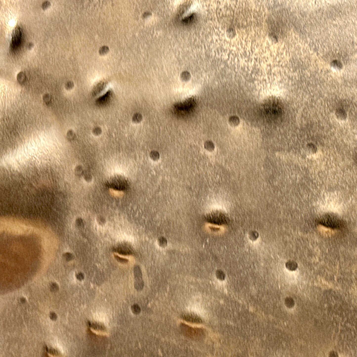 19" Istanbul Agop Xist Dry Dark Brilliant Crash Cymbal 1318g *Video*