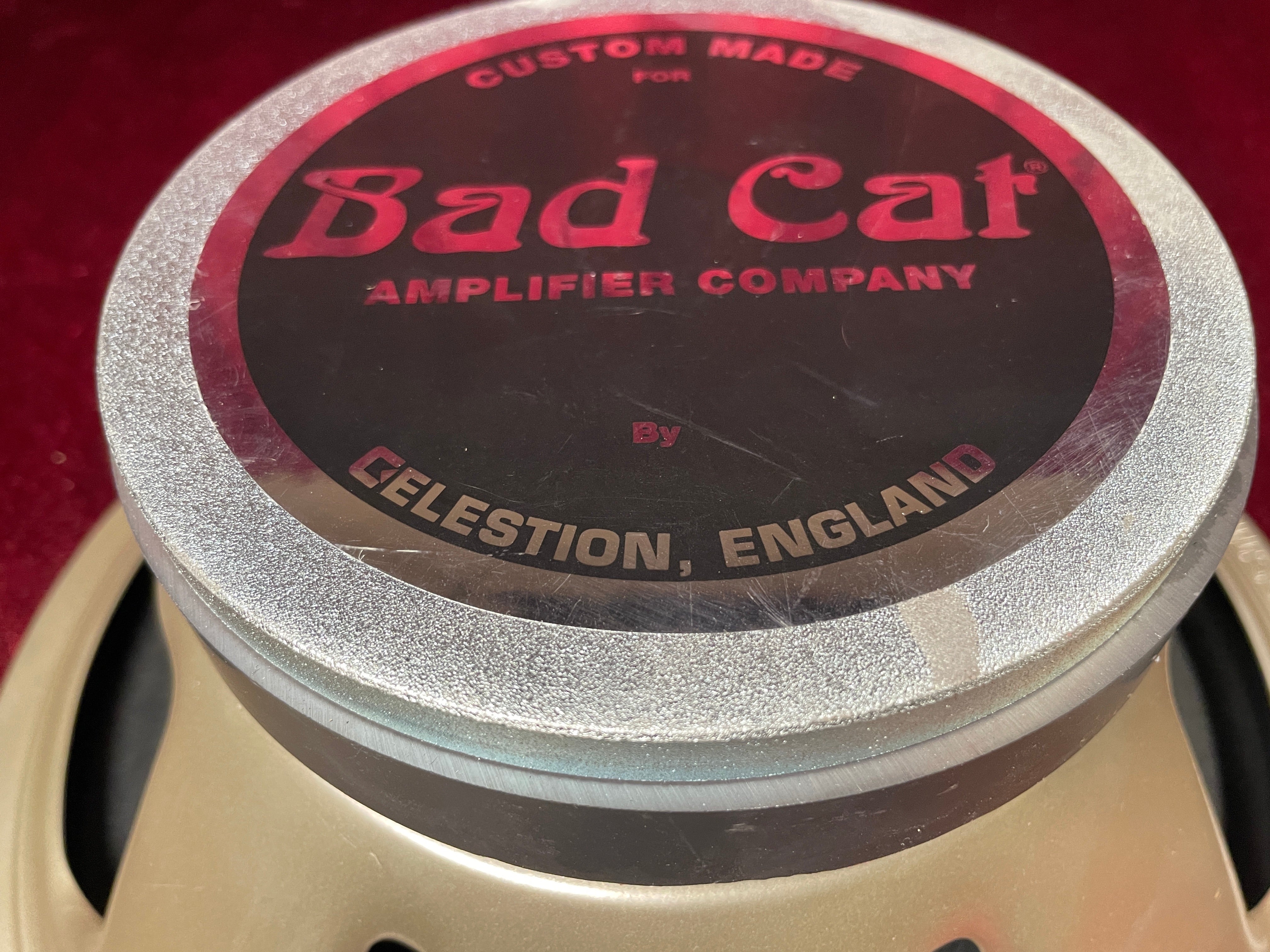 Bad Cat Celestion 12