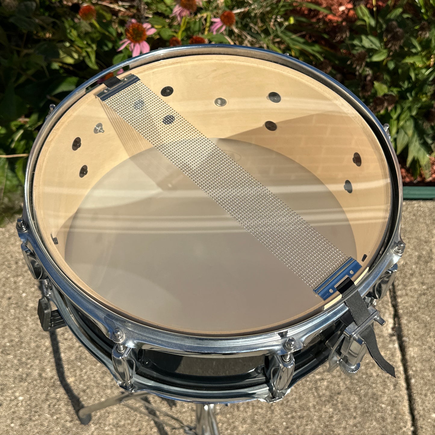 2010s Tama Imperialstar 5.5x14 Poplar Snare Drum Black IWS55