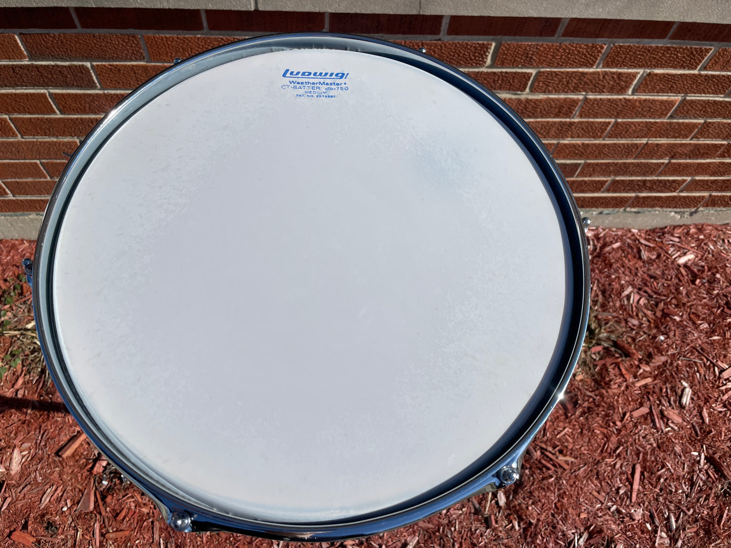 1971 Ludwig 5x14 No. 491L Pioneer Snare Drum Blue Lacquer