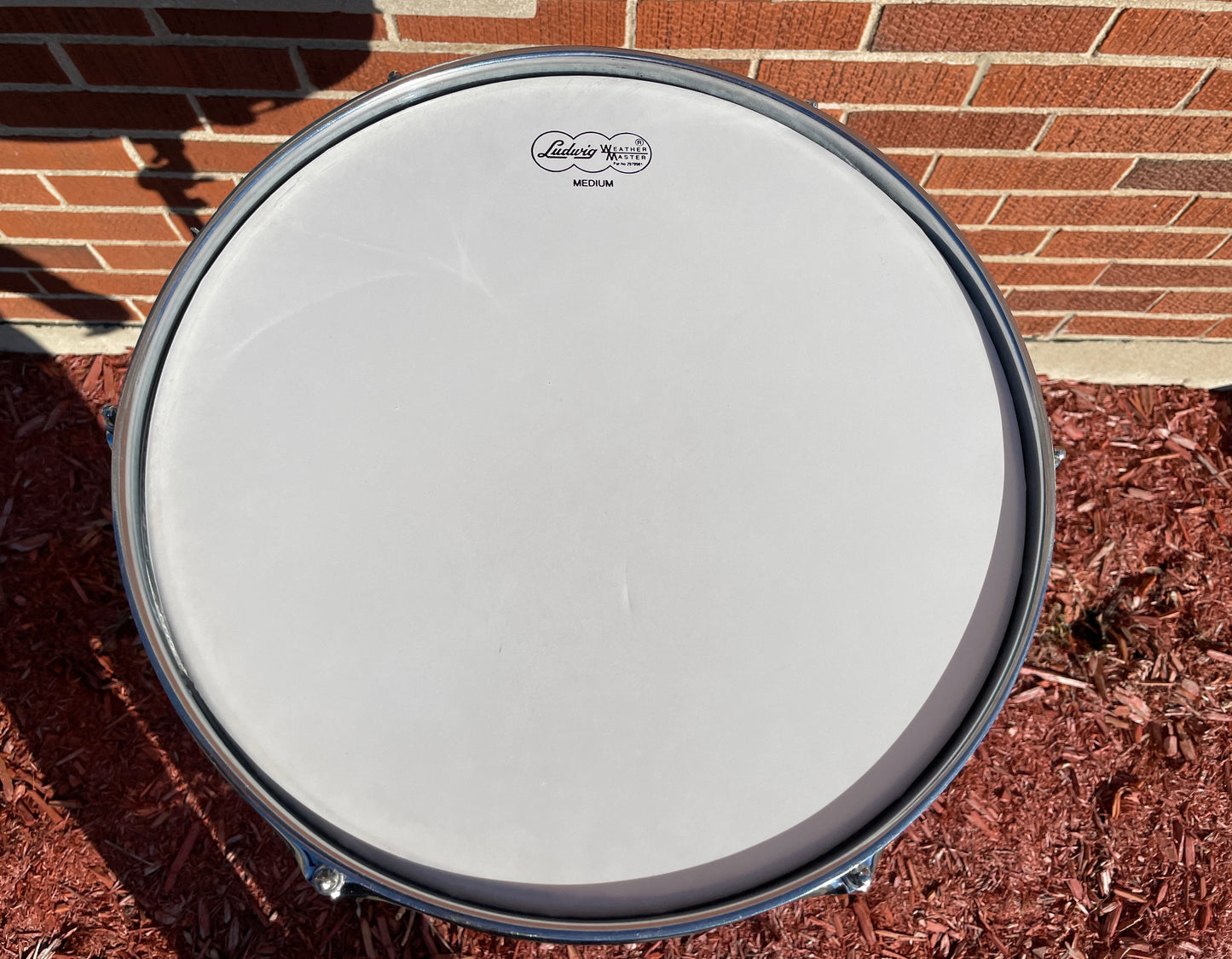 1966 Ludwig 5x14 No. 491 Pioneer Snare Drum Oyster Black Pearl Chrome